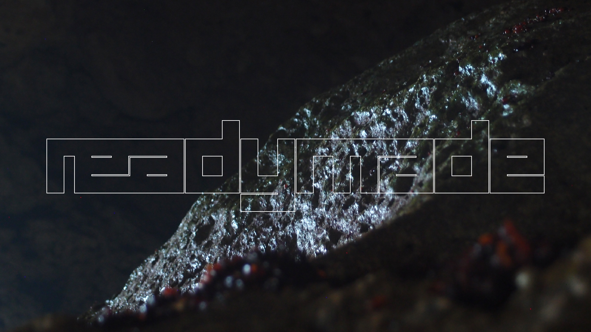 2022-04-24 Shete Boka Nationalpark (Foto, Video)