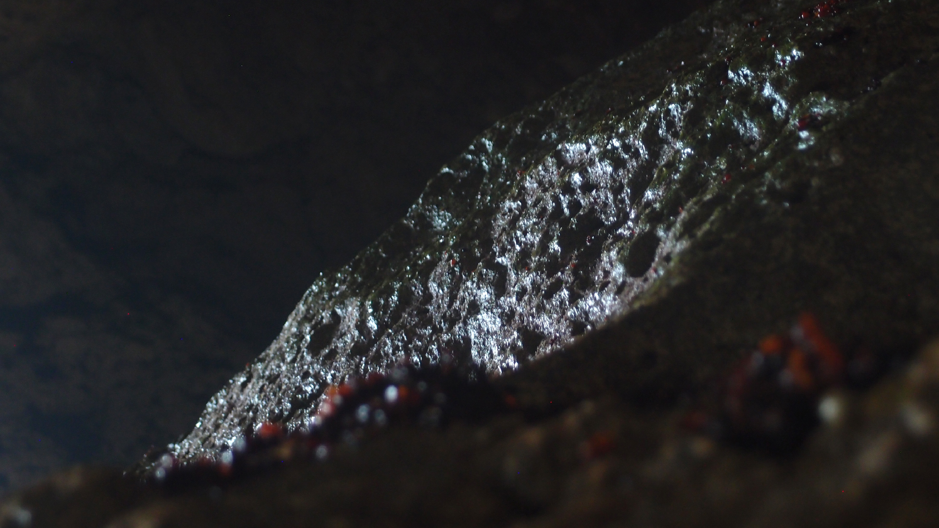 2022-04-24 Shete Boka Nationalpark (Foto, Video)