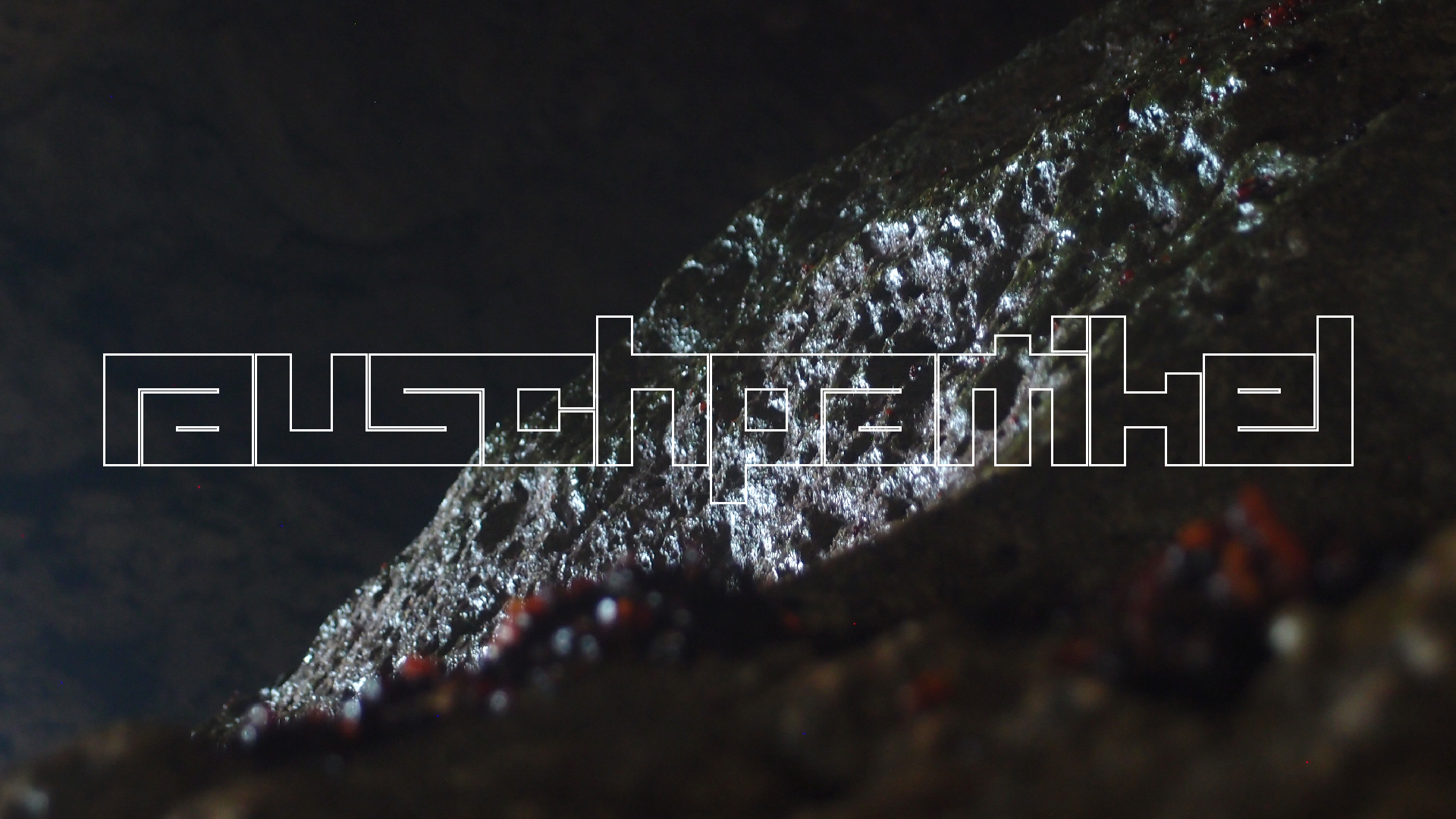 2022-04-24 Shete Boka Nationalpark (Foto, Video)