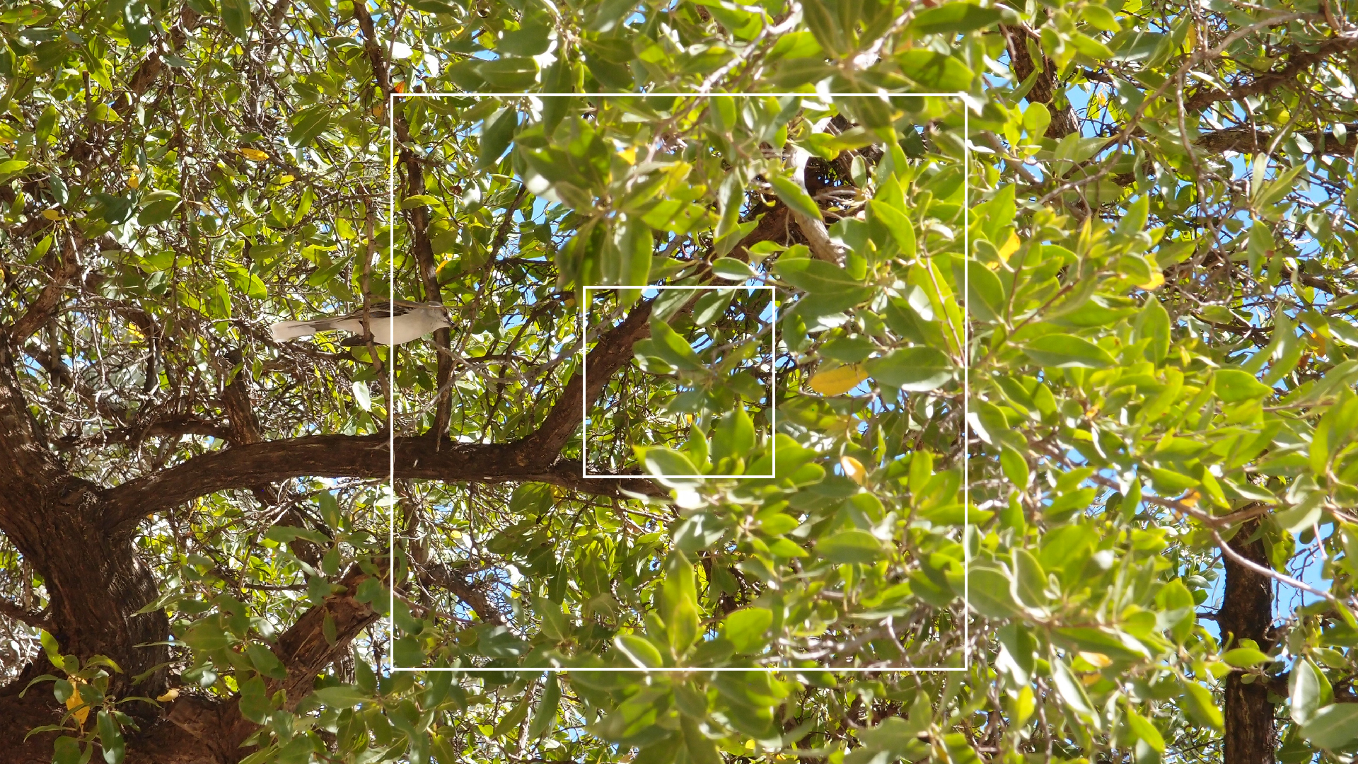 2022-04-24 Playa Porto Mari (Foto)