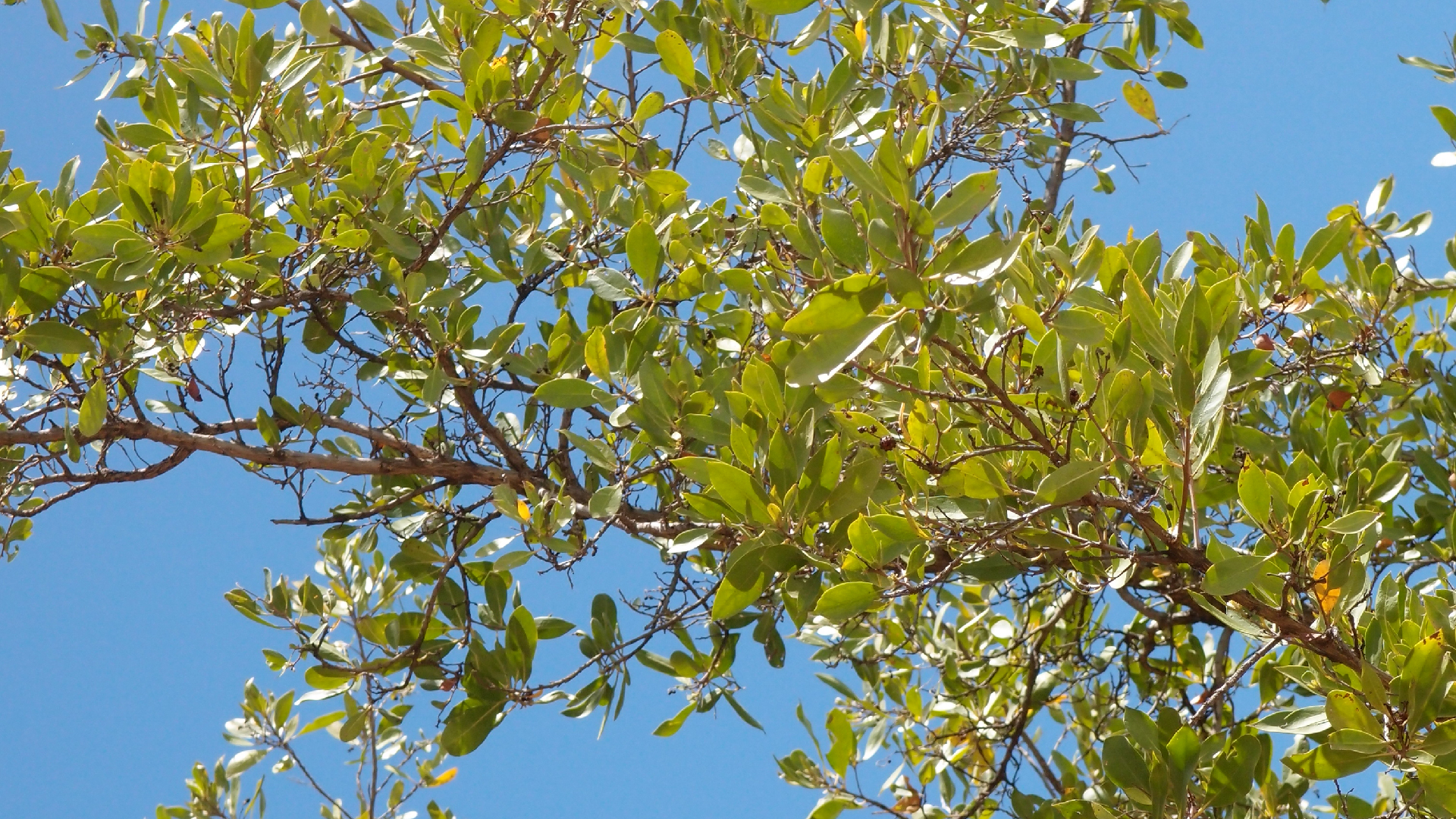 2022-04-24 Playa Porto Mari (Foto)