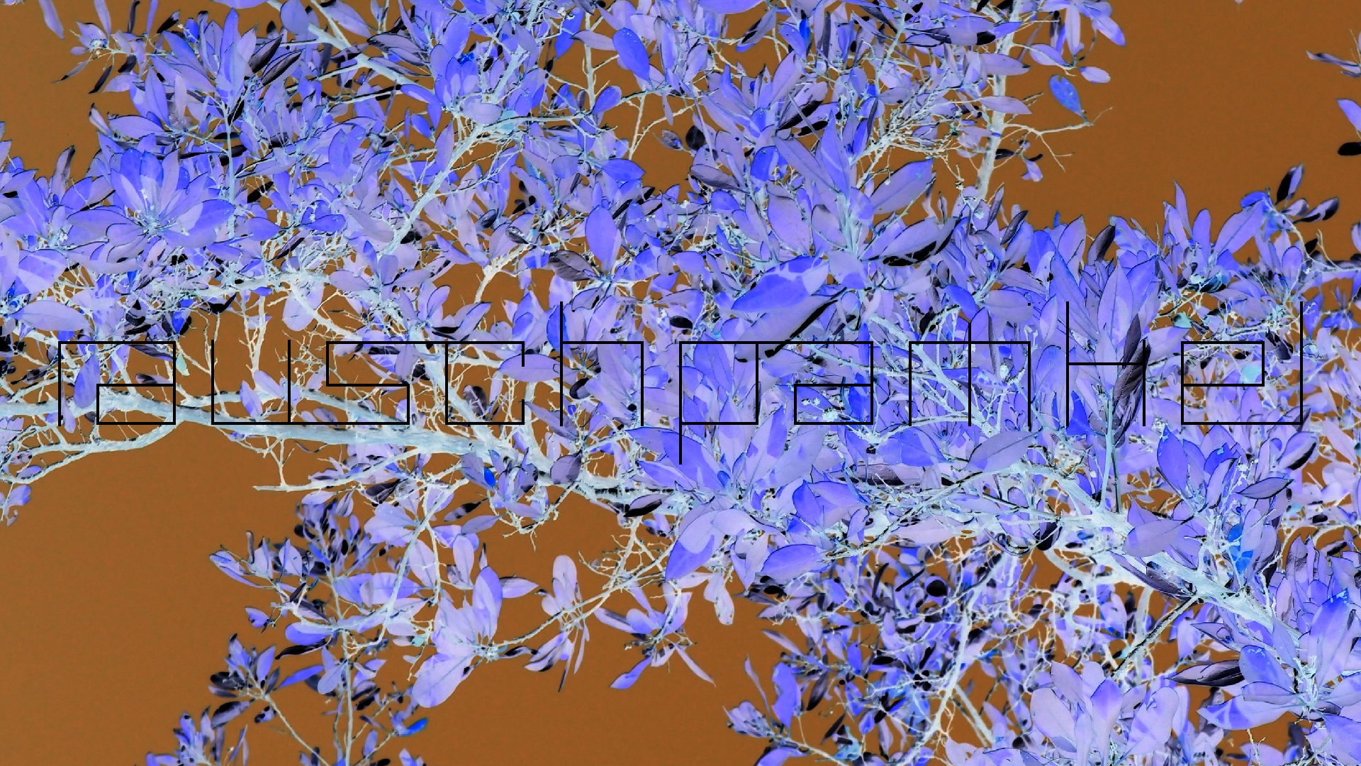 2022-04-24 Playa Porto Mari (Foto)