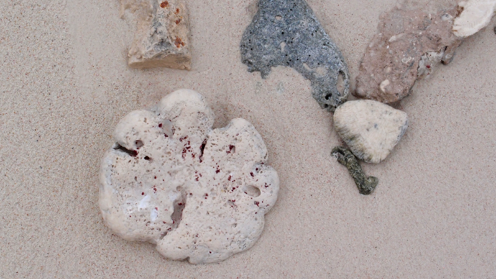 2022-04-25 Cas Abao (Foto)