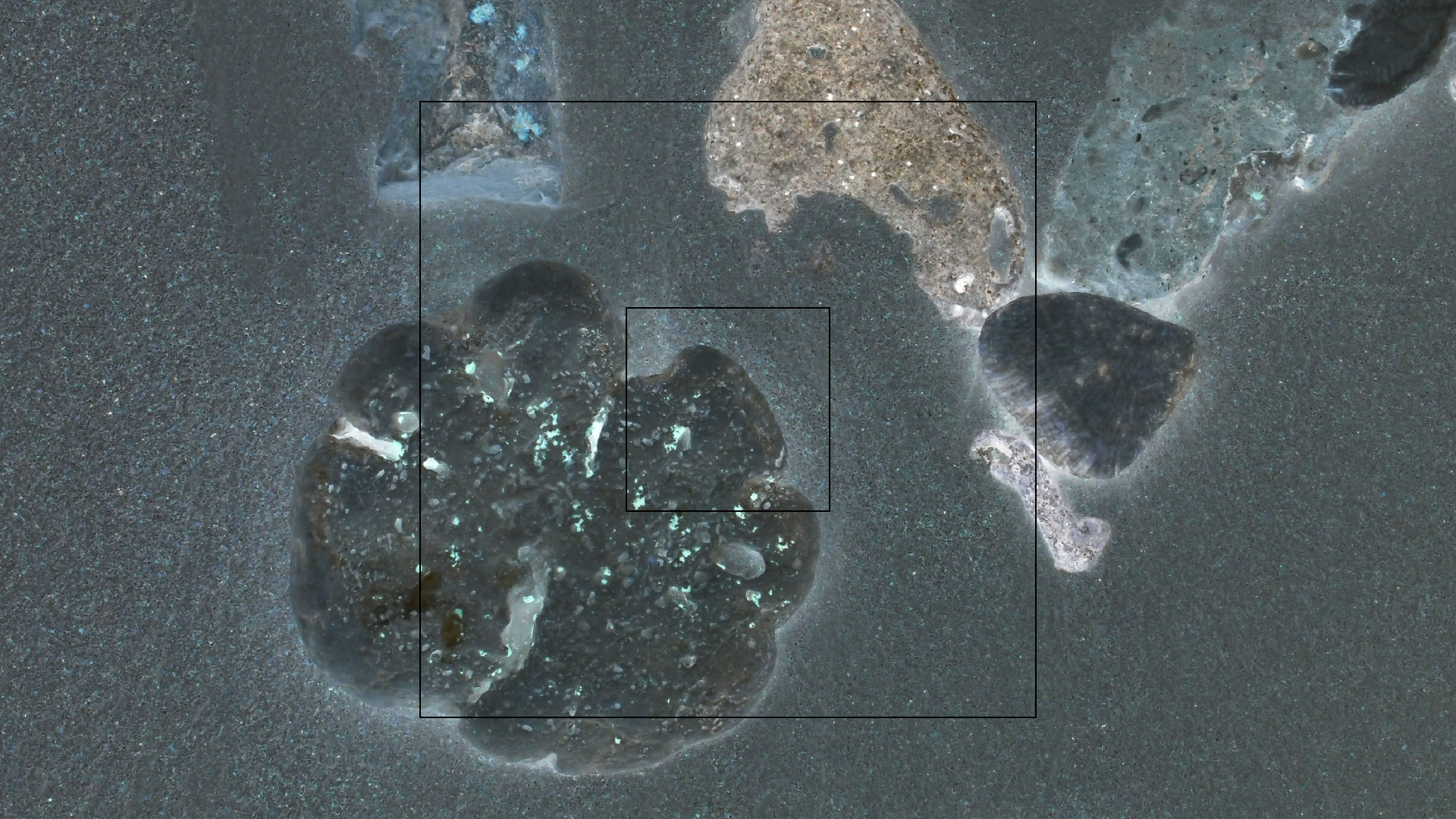 2022-04-25 Cas Abao (Foto)