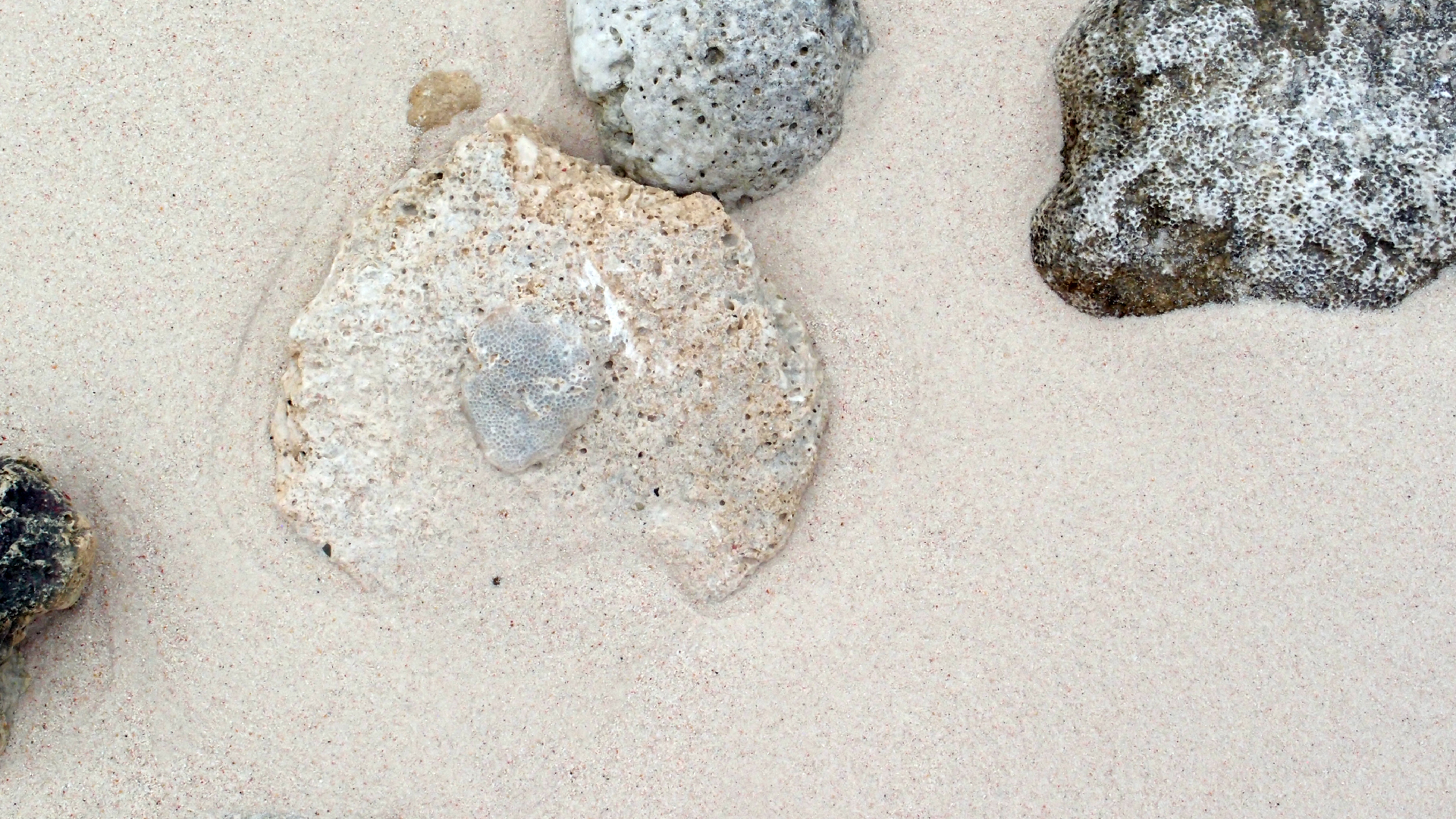 2022-04-25 Cas Abao (Foto)