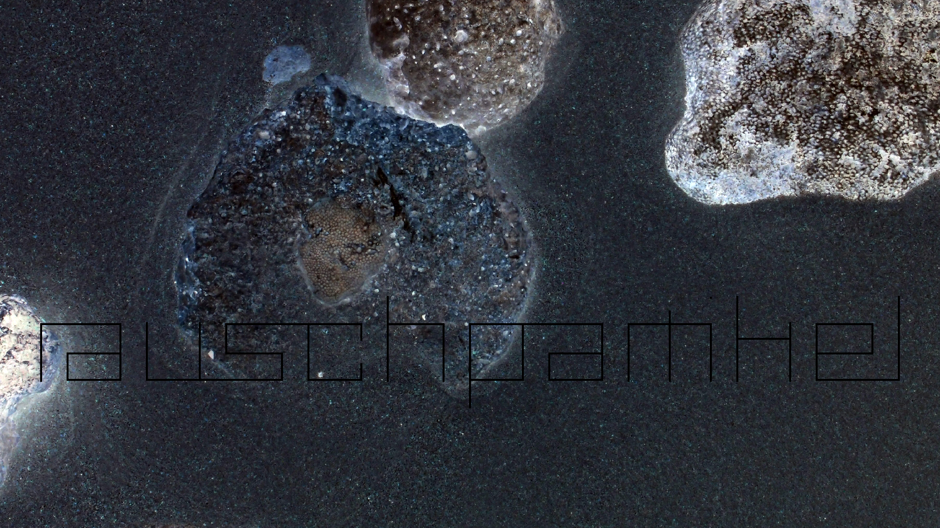 2022-04-25 Cas Abao (Foto)