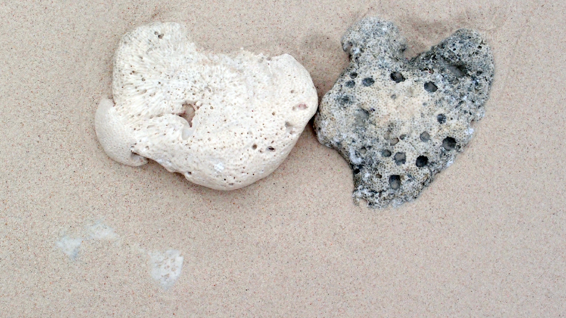 2022-04-25 Cas Abao (Foto)