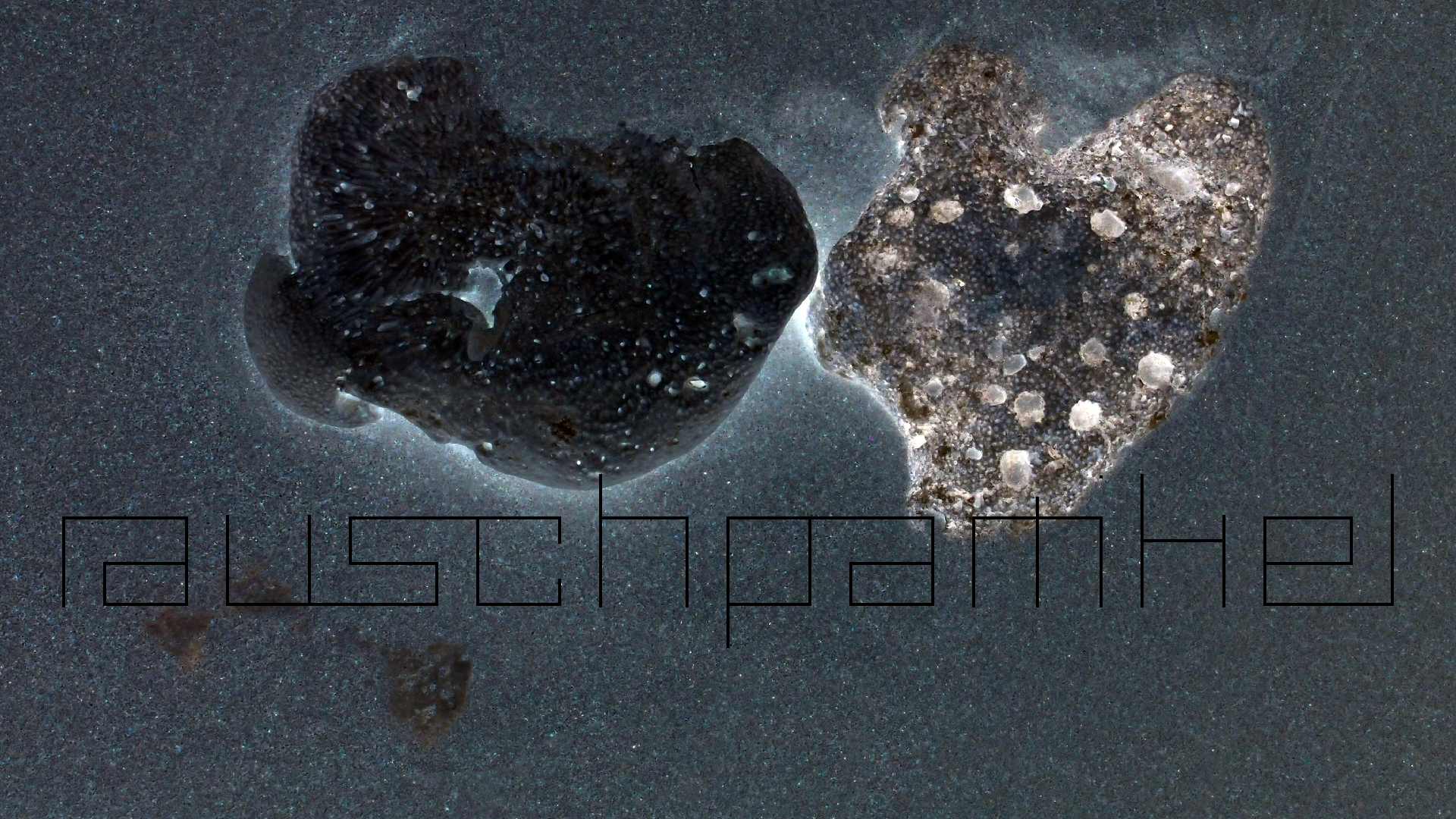 2022-04-25 Cas Abao (Foto)