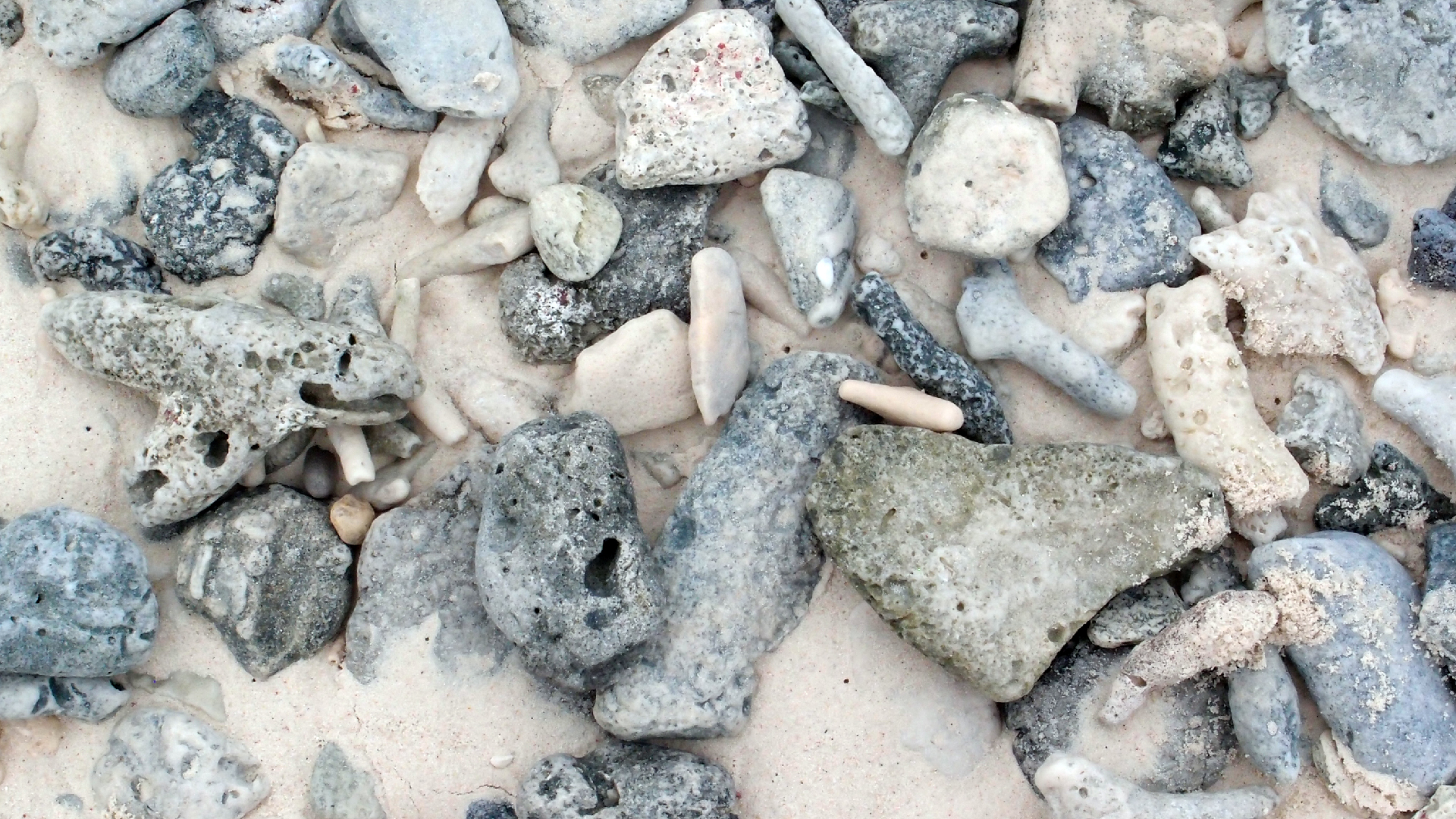 2022-04-25 Cas Abao (Foto)