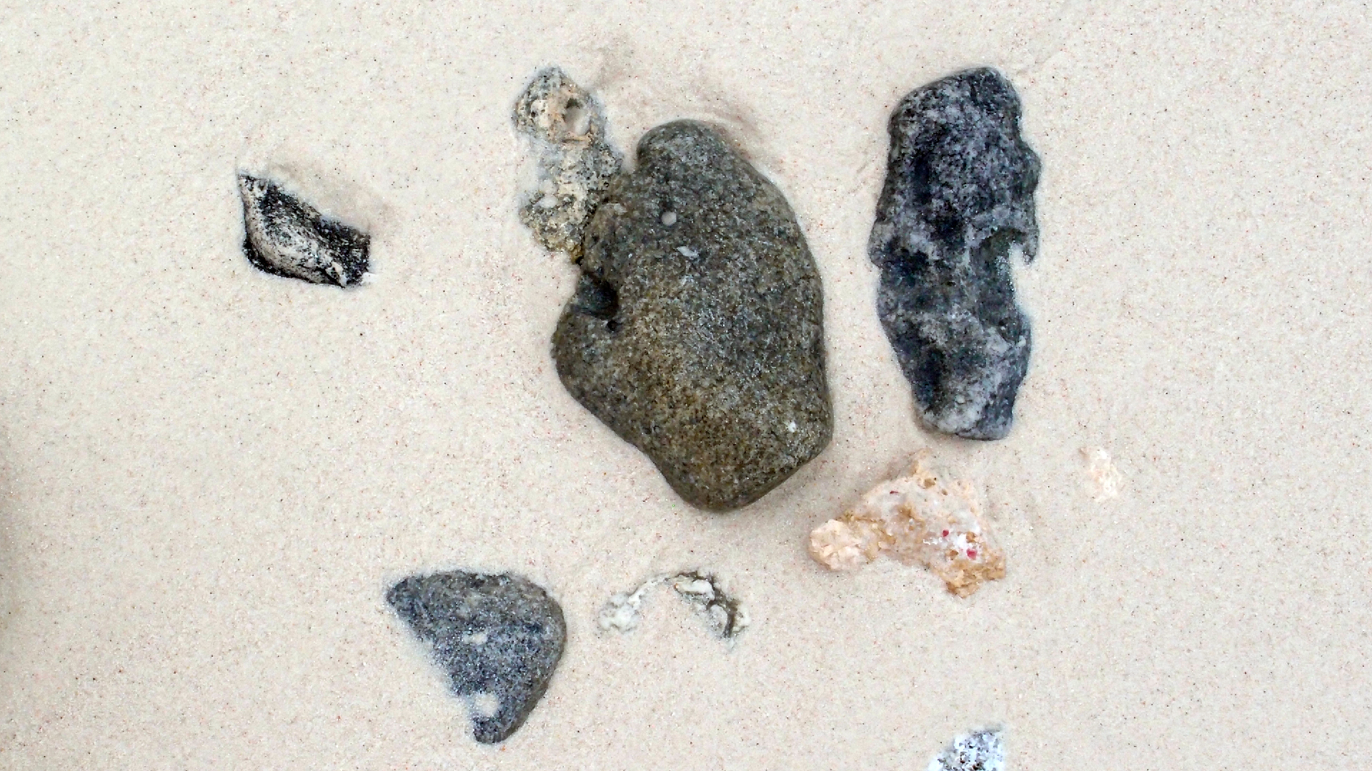 2022-04-25 Cas Abao (Foto)