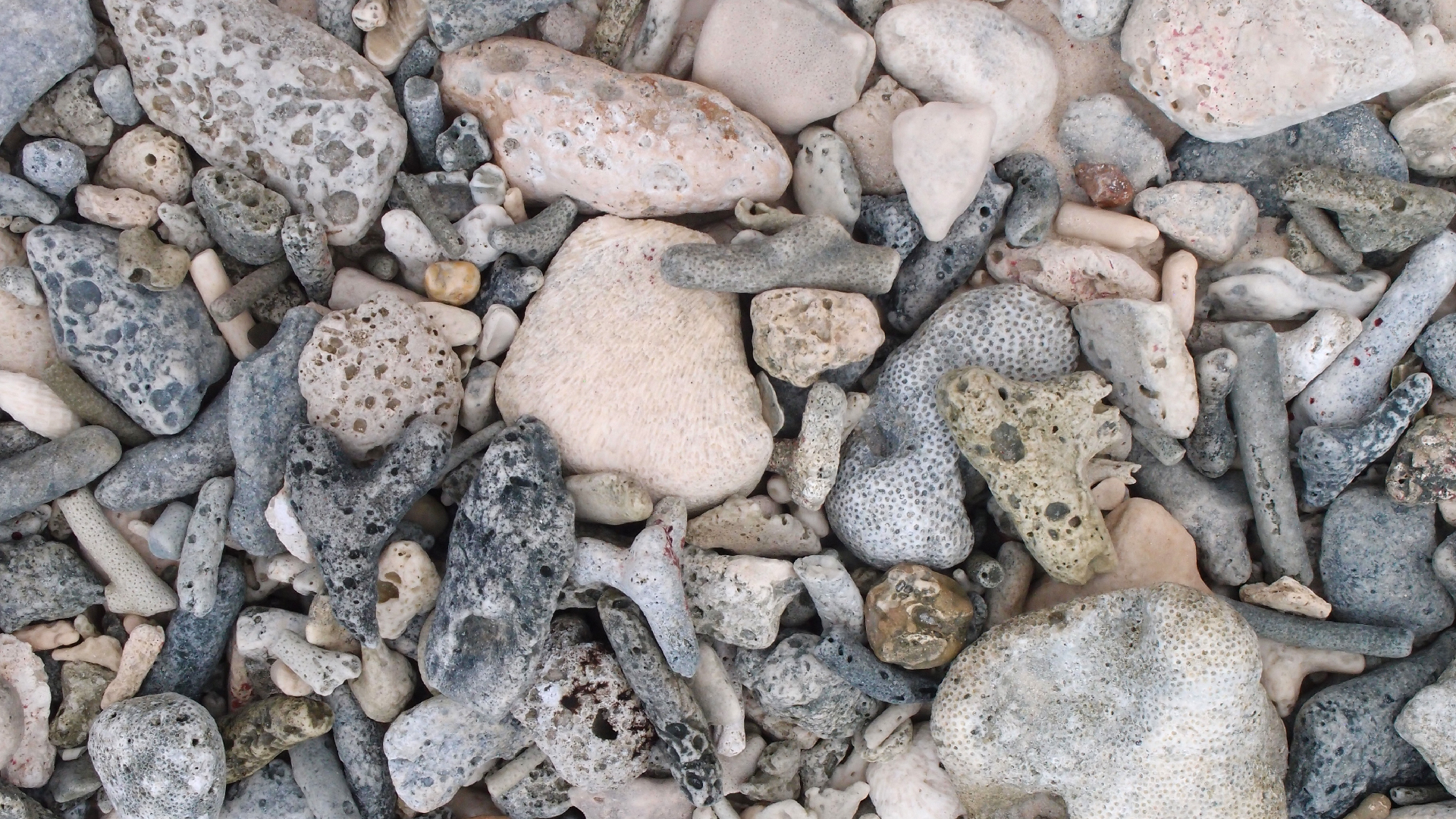 2022-04-25 Cas Abao (Foto)