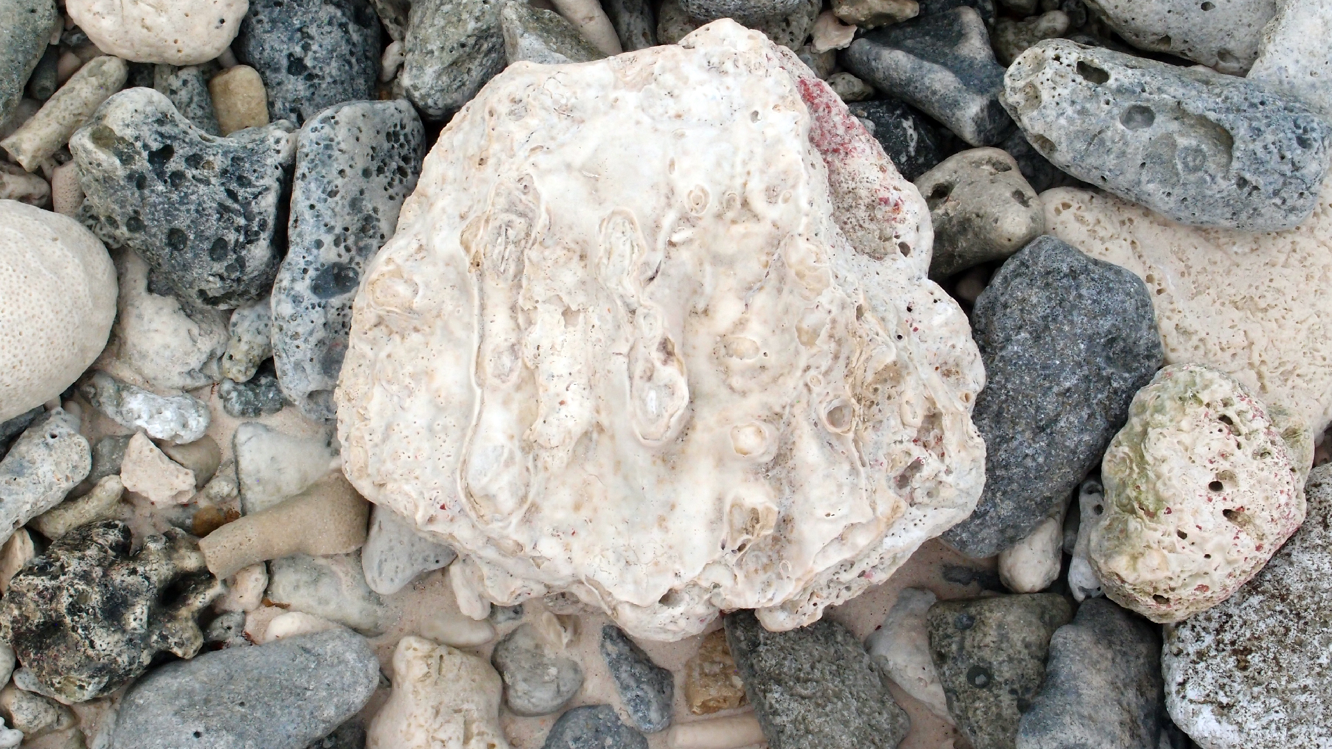 2022-04-25 Cas Abao (Foto)