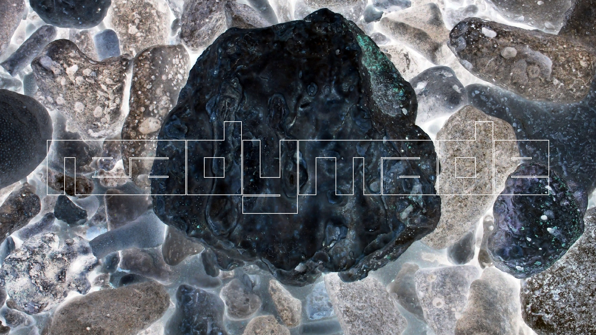 2022-04-25 Cas Abao (Foto)