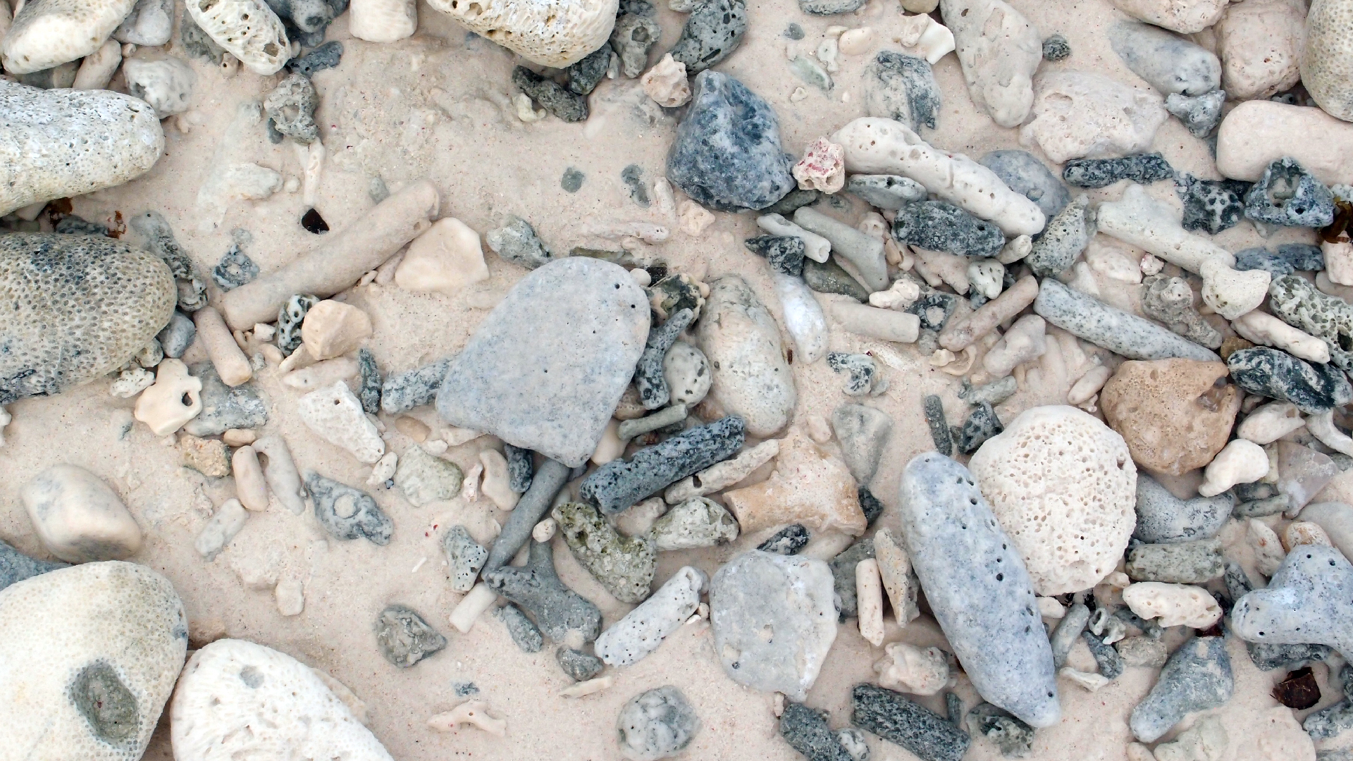 2022-04-25 Cas Abao (Foto)