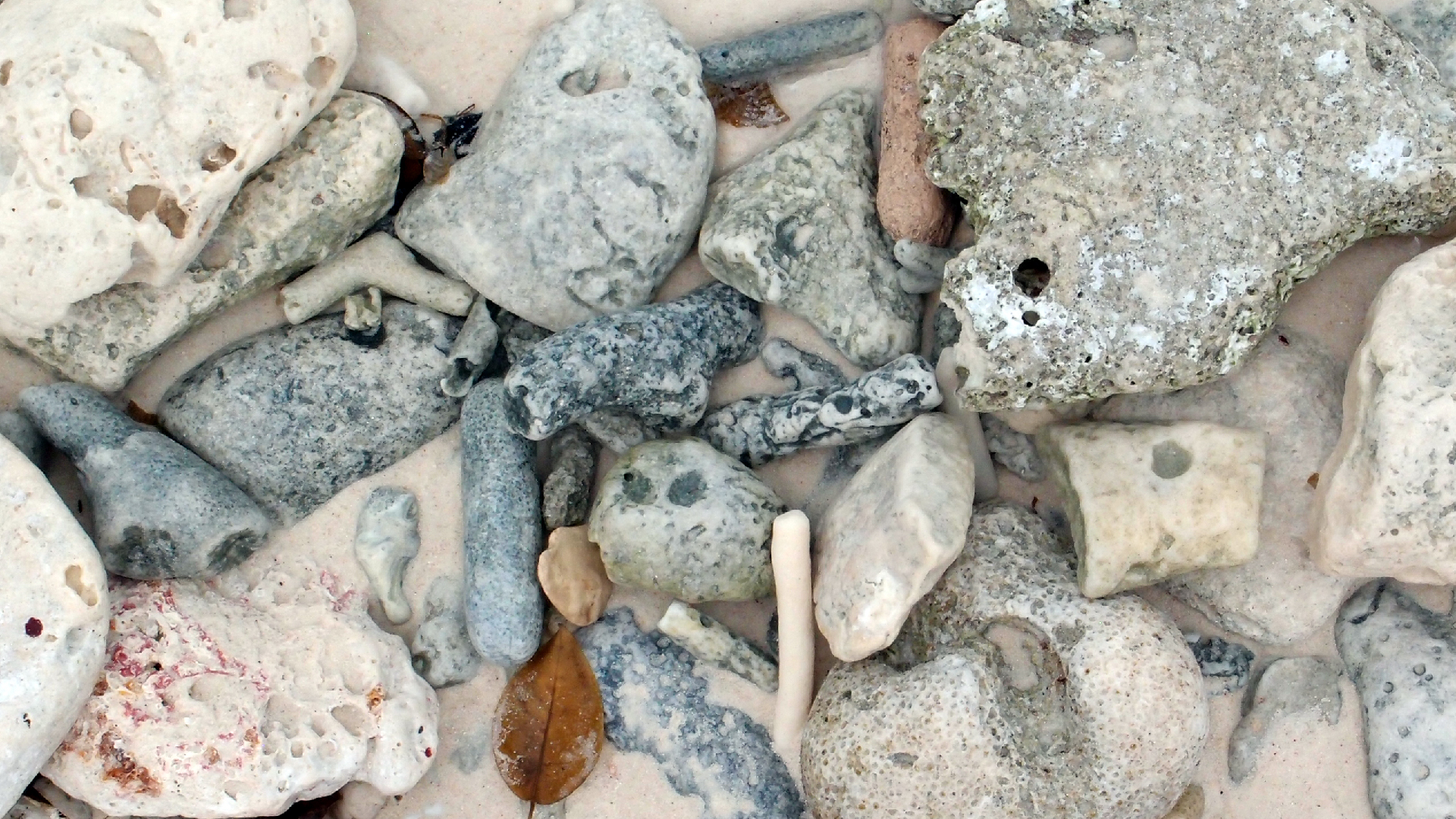 2022-04-25 Cas Abao (Foto)