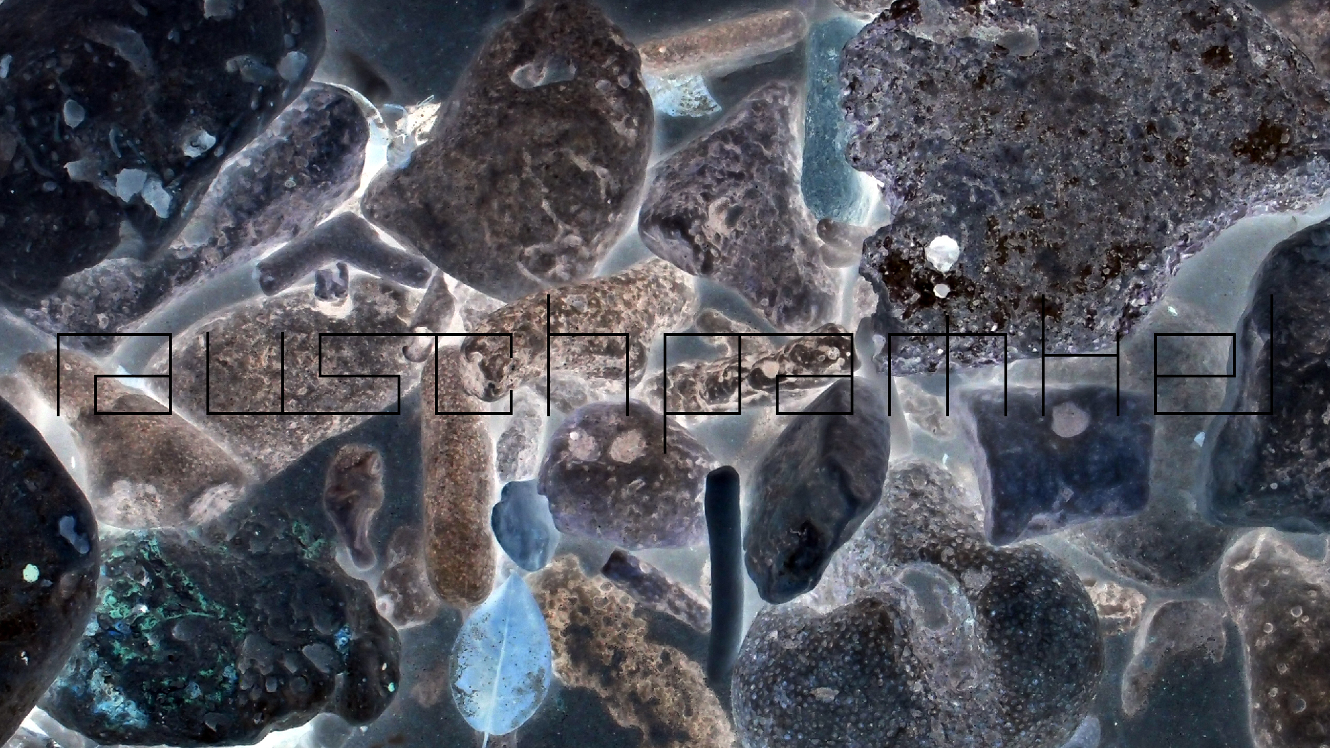 2022-04-25 Cas Abao (Foto)