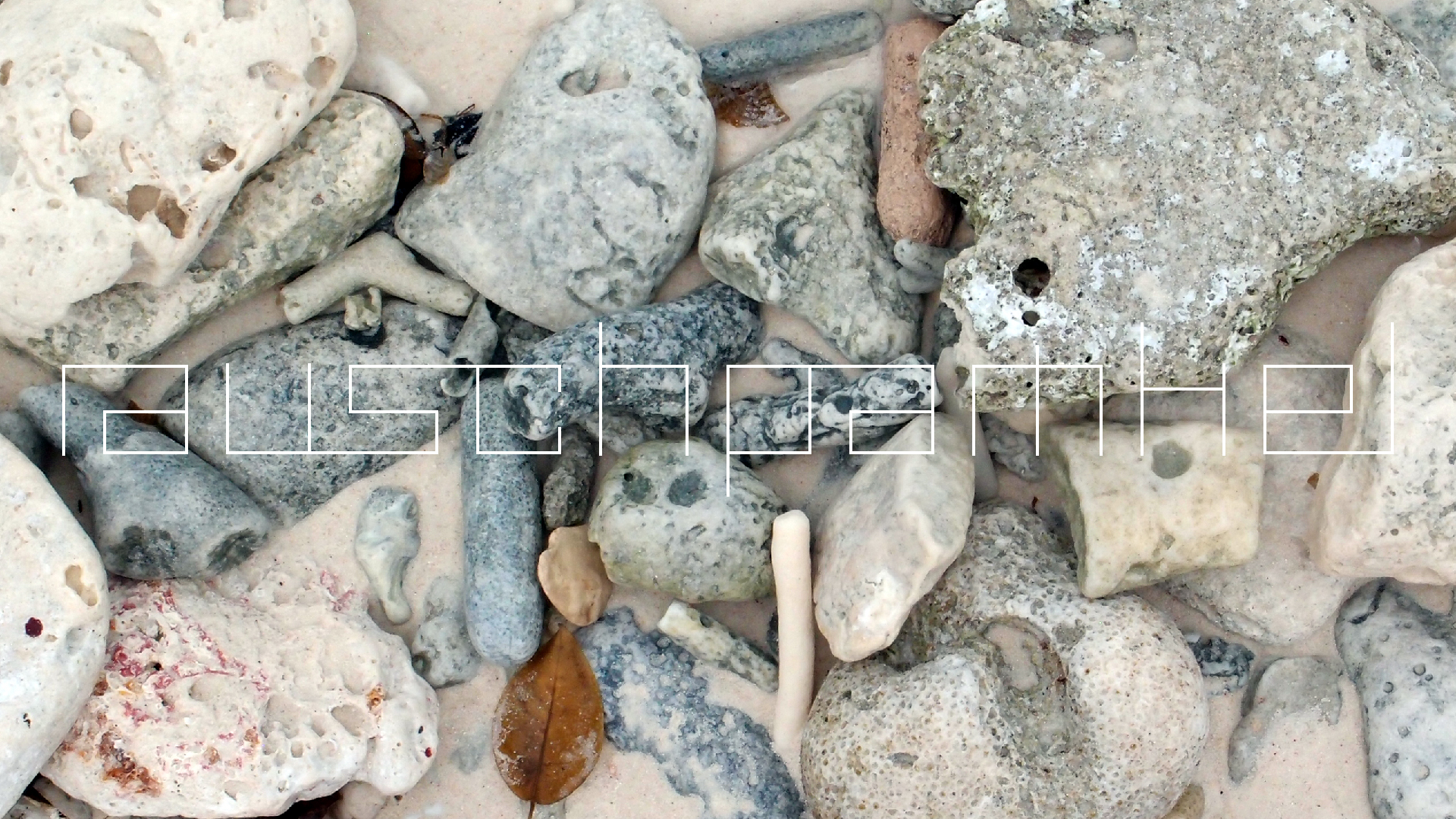 2022-04-25 Cas Abao (Foto)