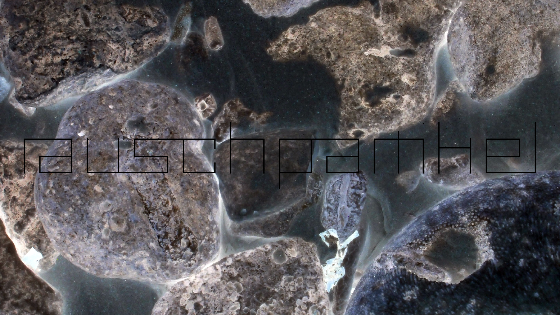 2022-04-25 Cas Abao (Foto)