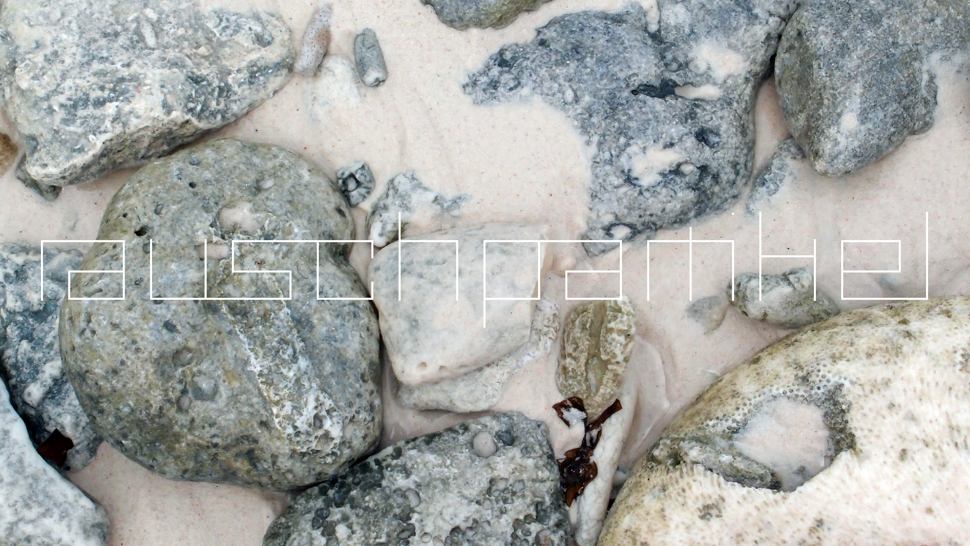 2022-04-25 Cas Abao (Foto)