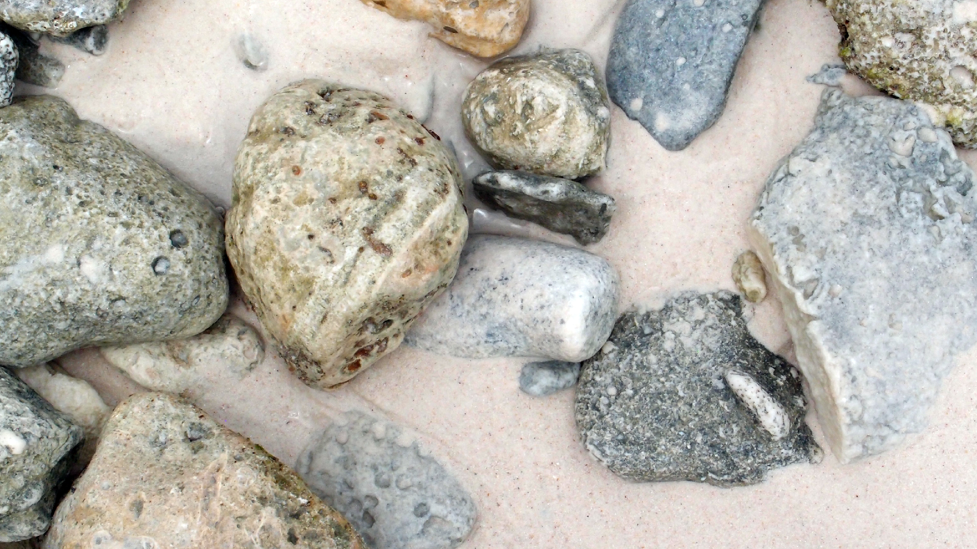 2022-04-25 Cas Abao (Foto)