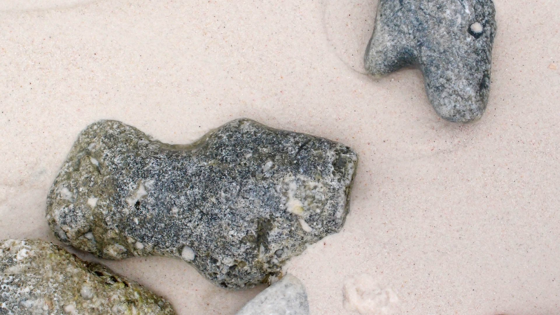 2022-04-25 Cas Abao (Foto)