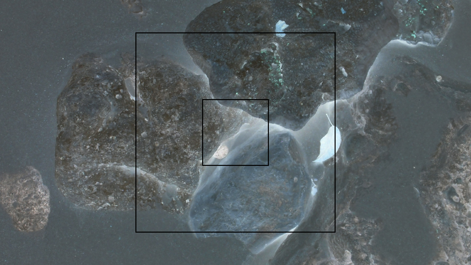 2022-04-25 Cas Abao (Foto)