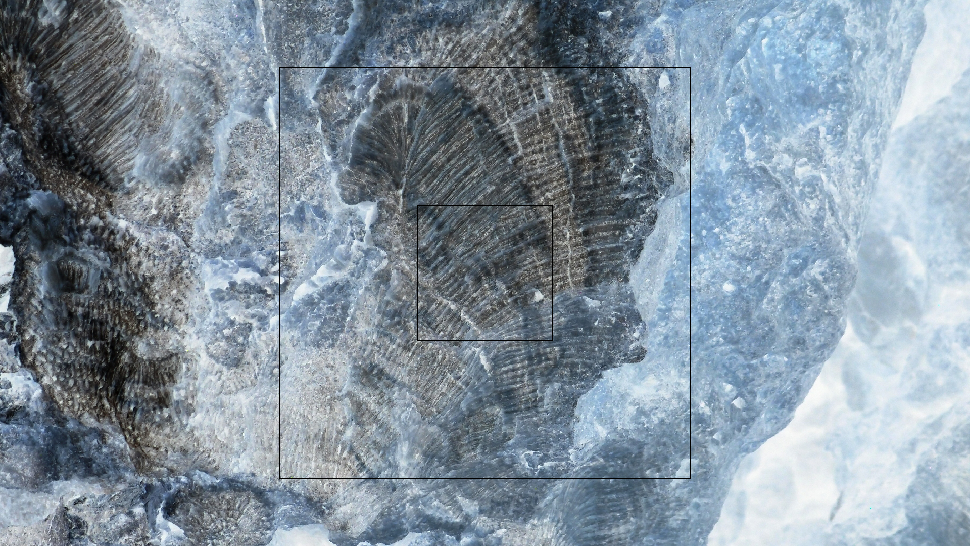 2022-04-25 Cas Abao (Foto)