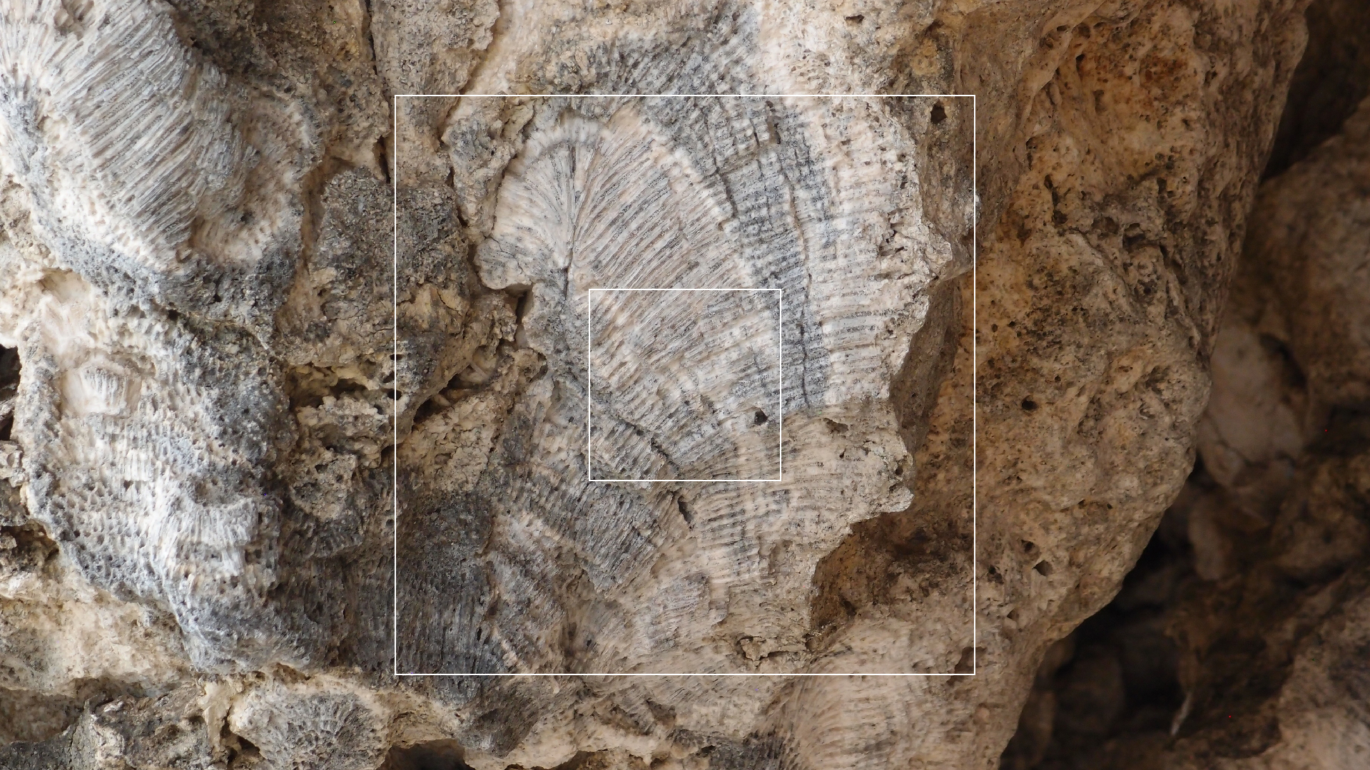 2022-04-25 Cas Abao (Foto)