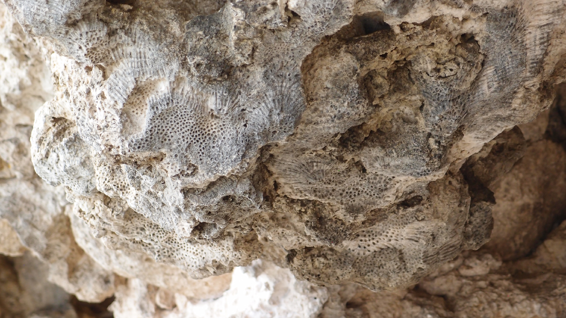 2022-04-25 Cas Abao (Foto)