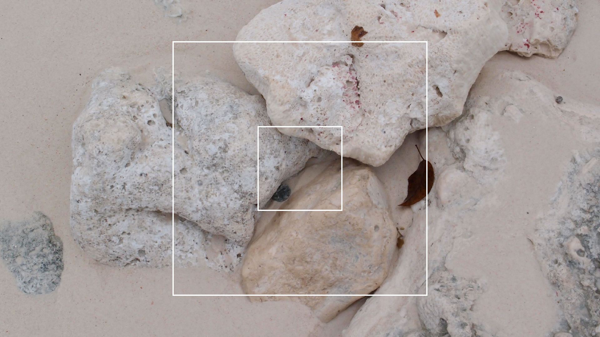 2022-04-25 Cas Abao (Foto)