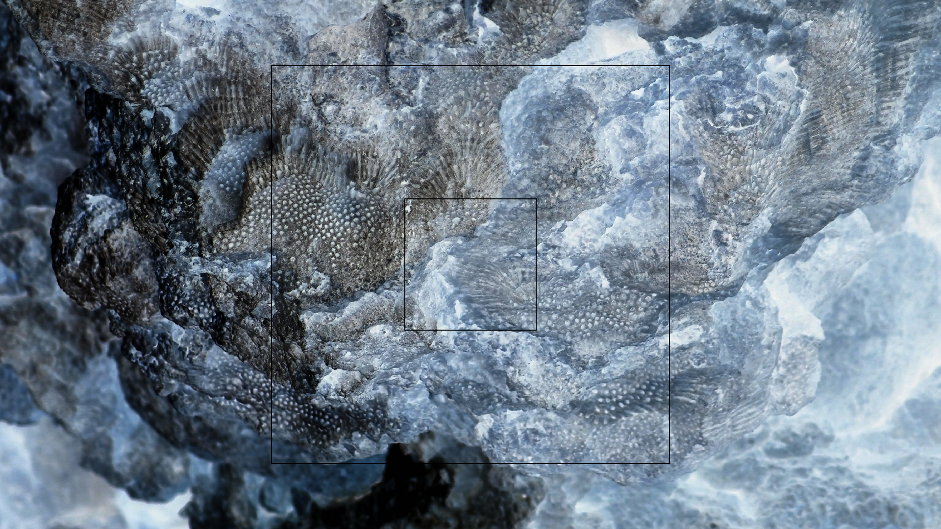 2022-04-25 Cas Abao (Foto)