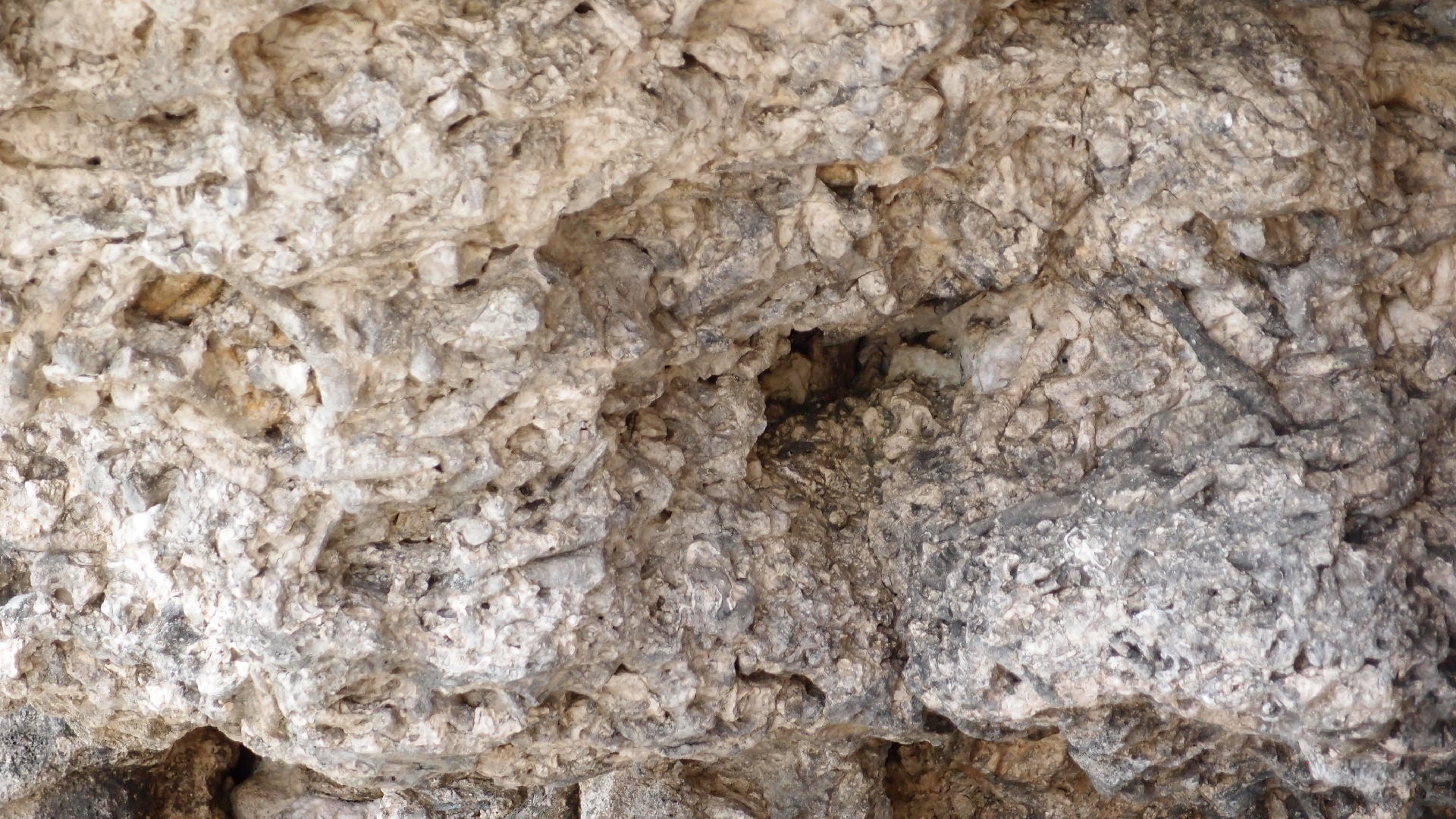 2022-04-25 Cas Abao (Foto)