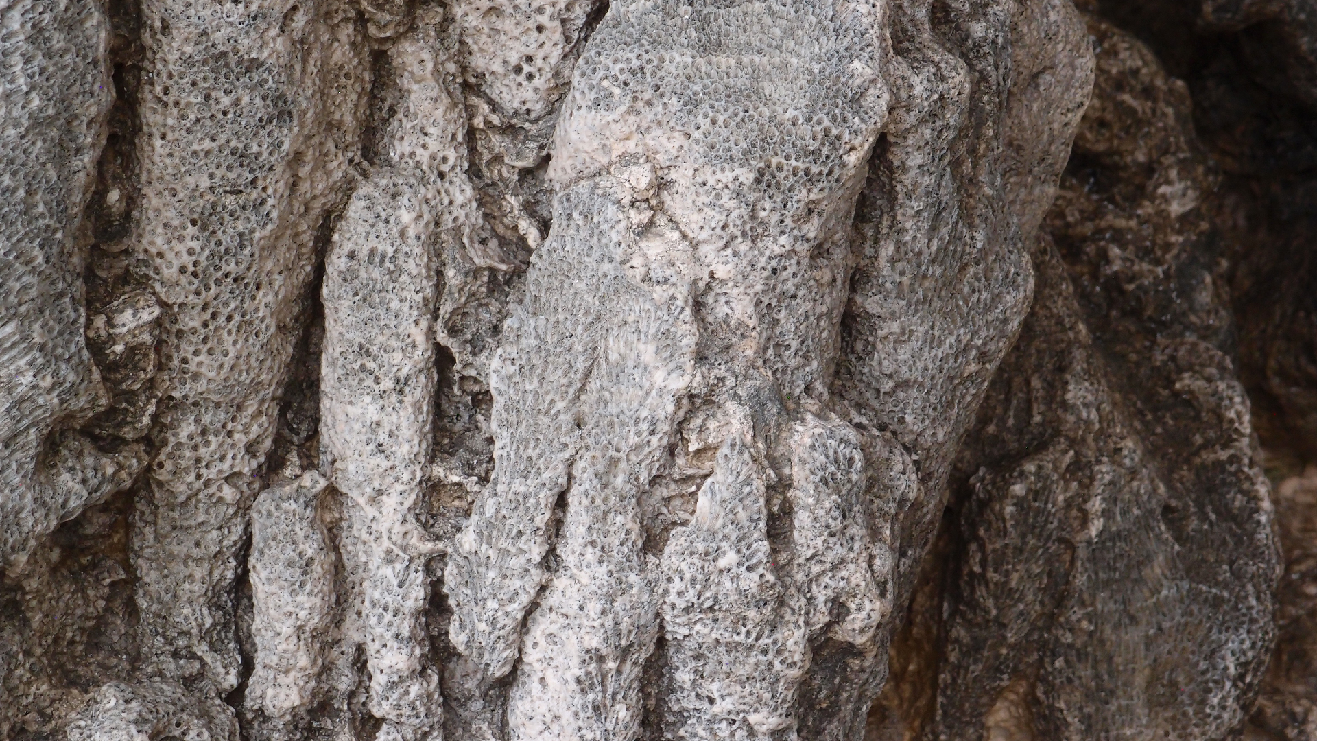 2022-04-25 Cas Abao (Foto)