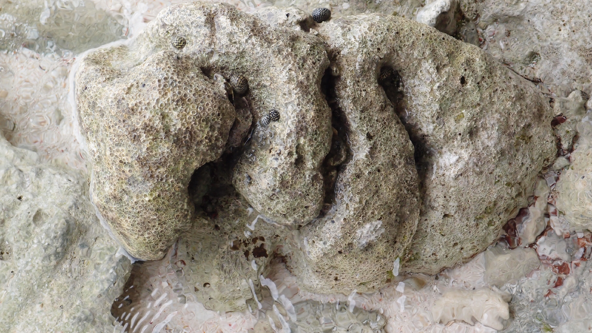 2022-04-25 Cas Abao (Foto)