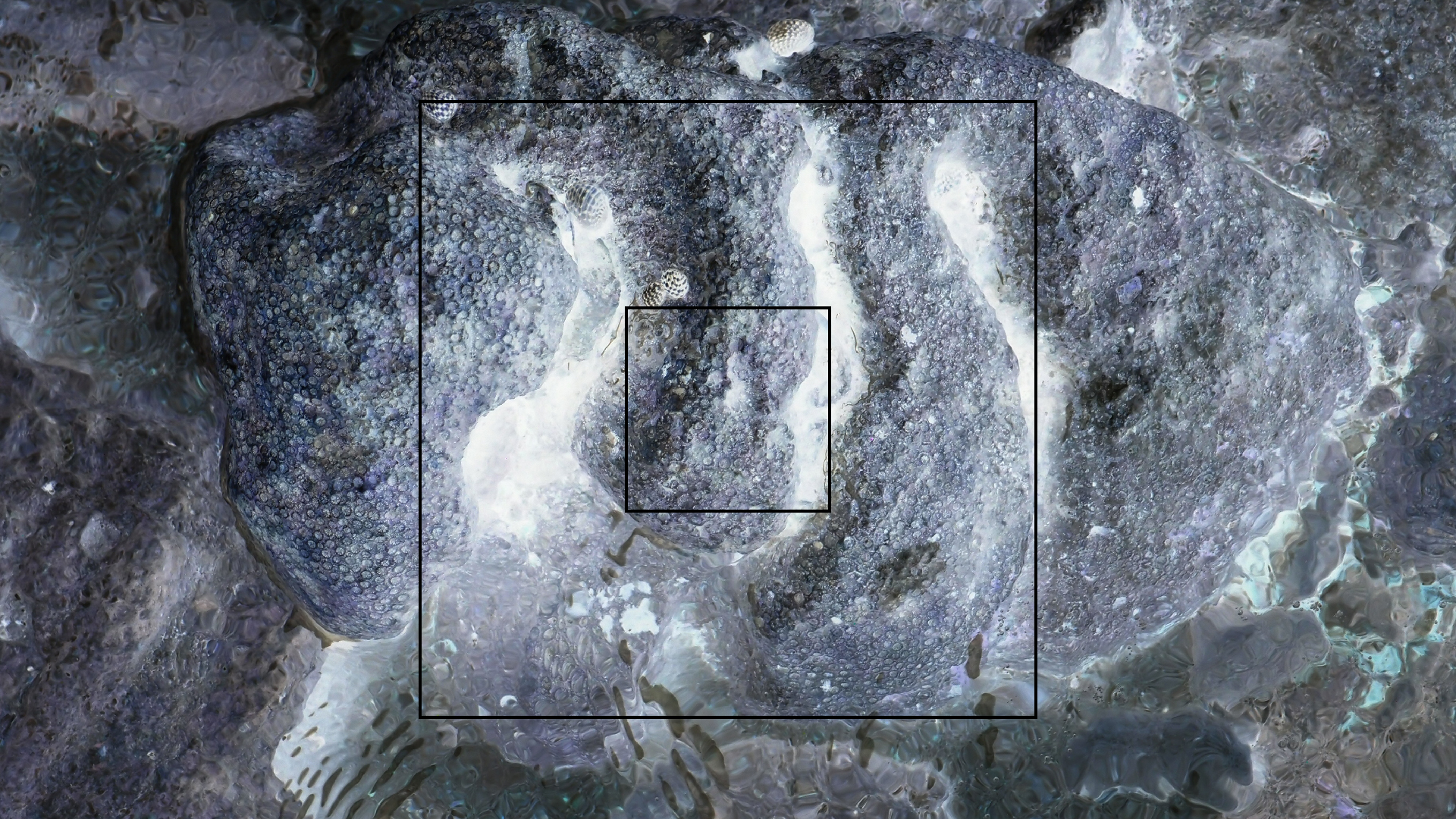 2022-04-25 Cas Abao (Foto)