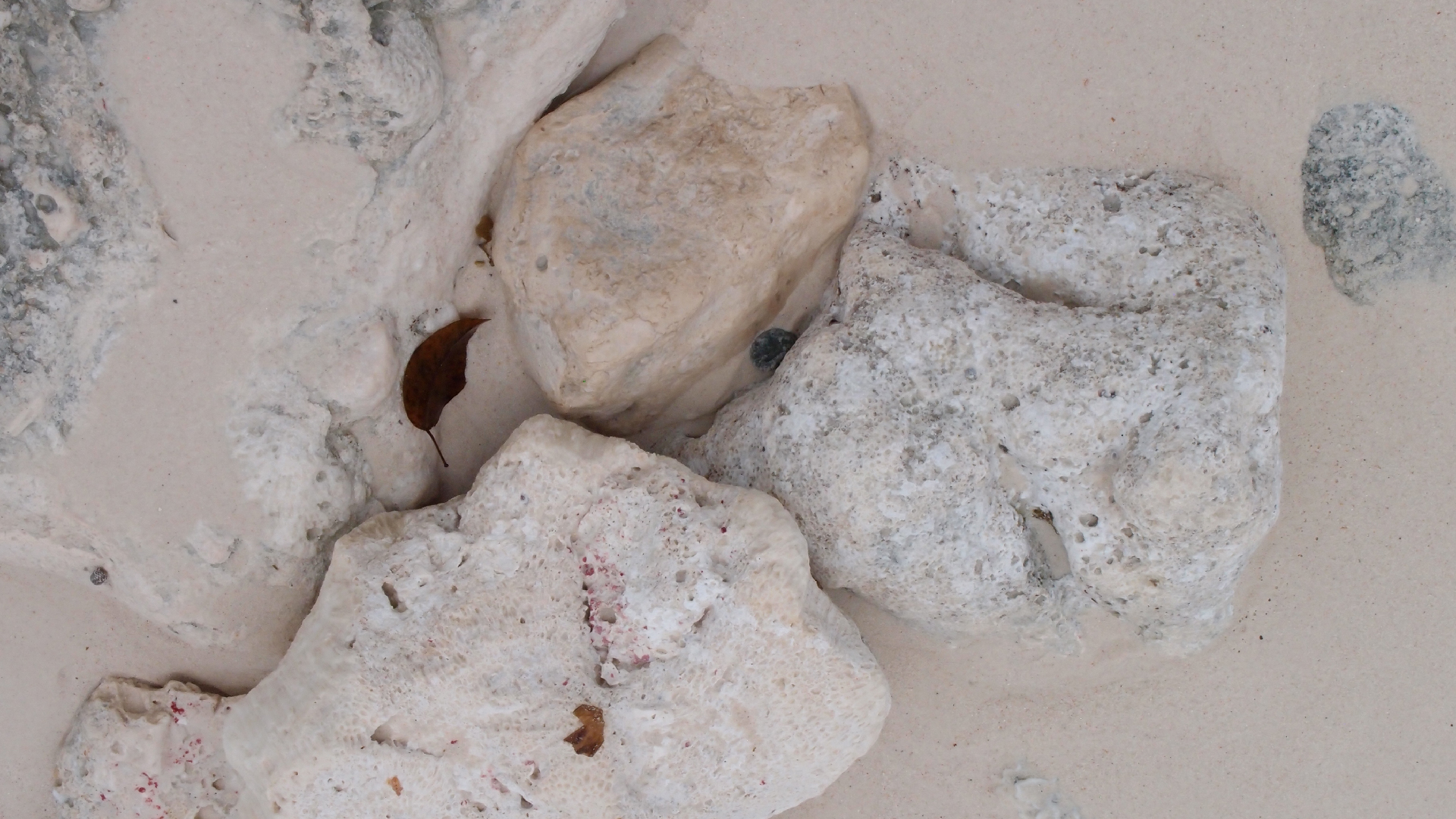 2022-04-25 Cas Abao (Foto)