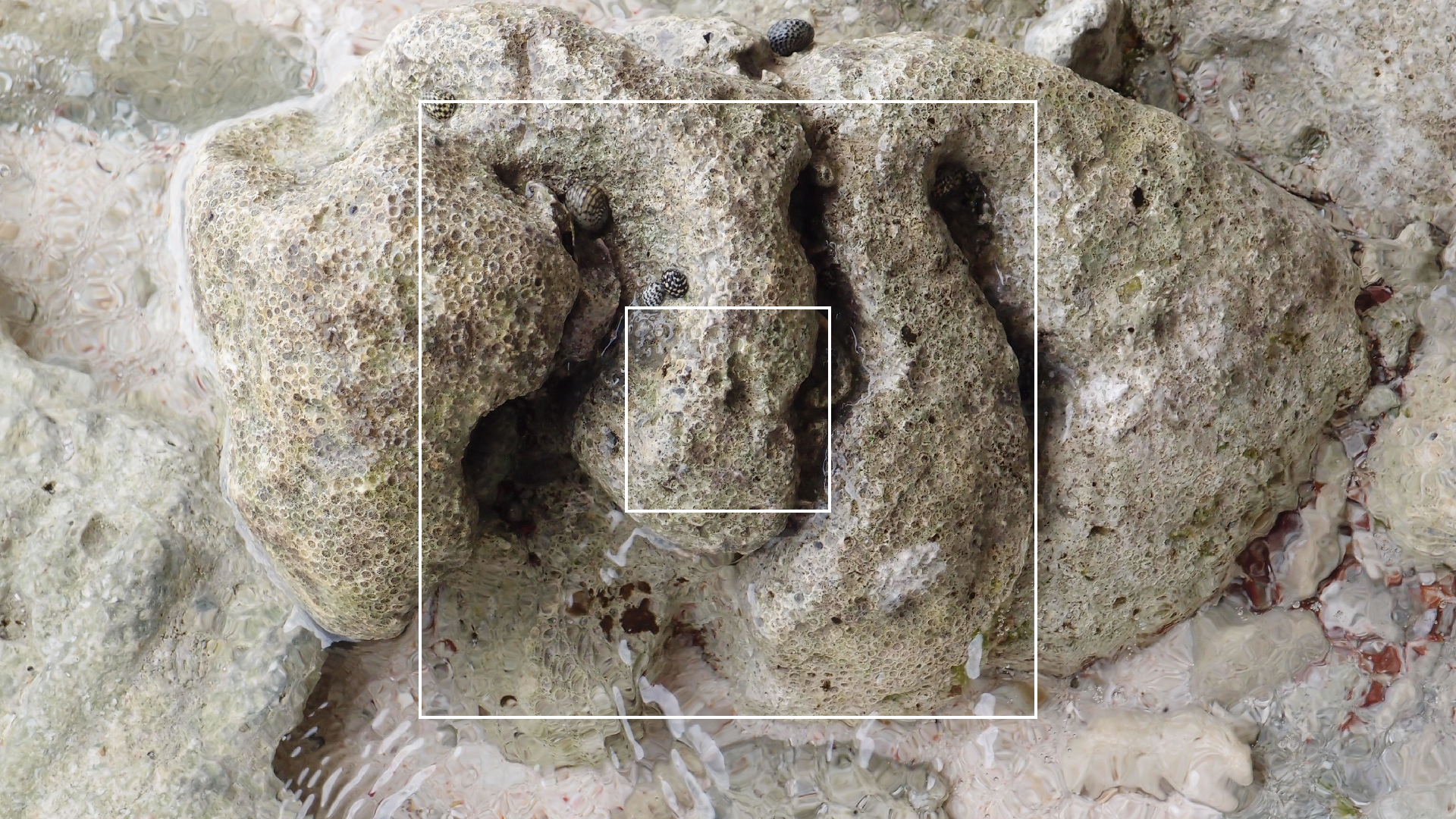 2022-04-25 Cas Abao (Foto)