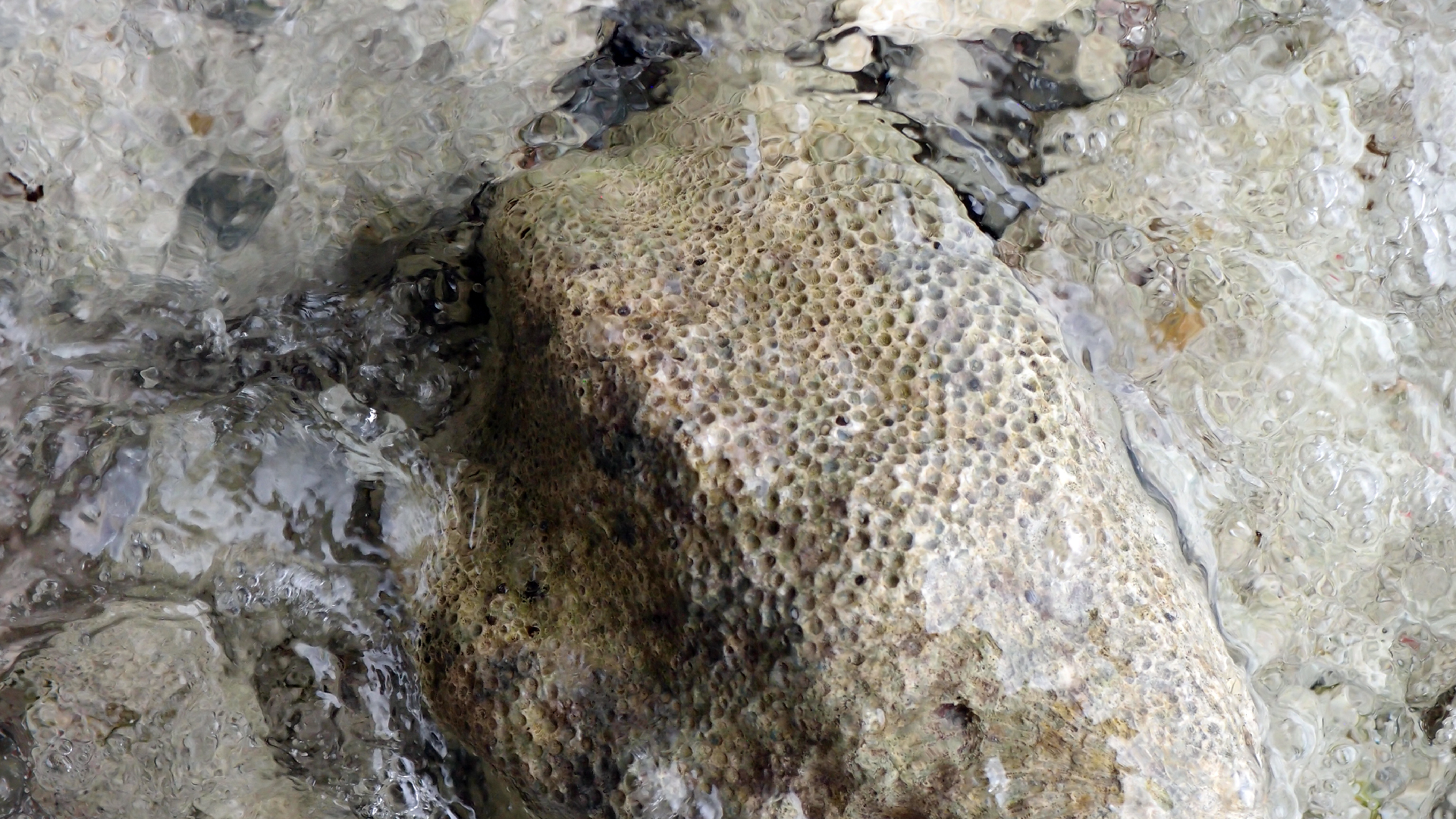 2022-04-25 Cas Abao (Foto)