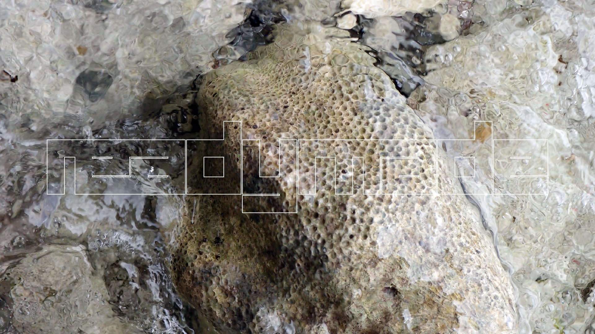 2022-04-25 Cas Abao (Foto)