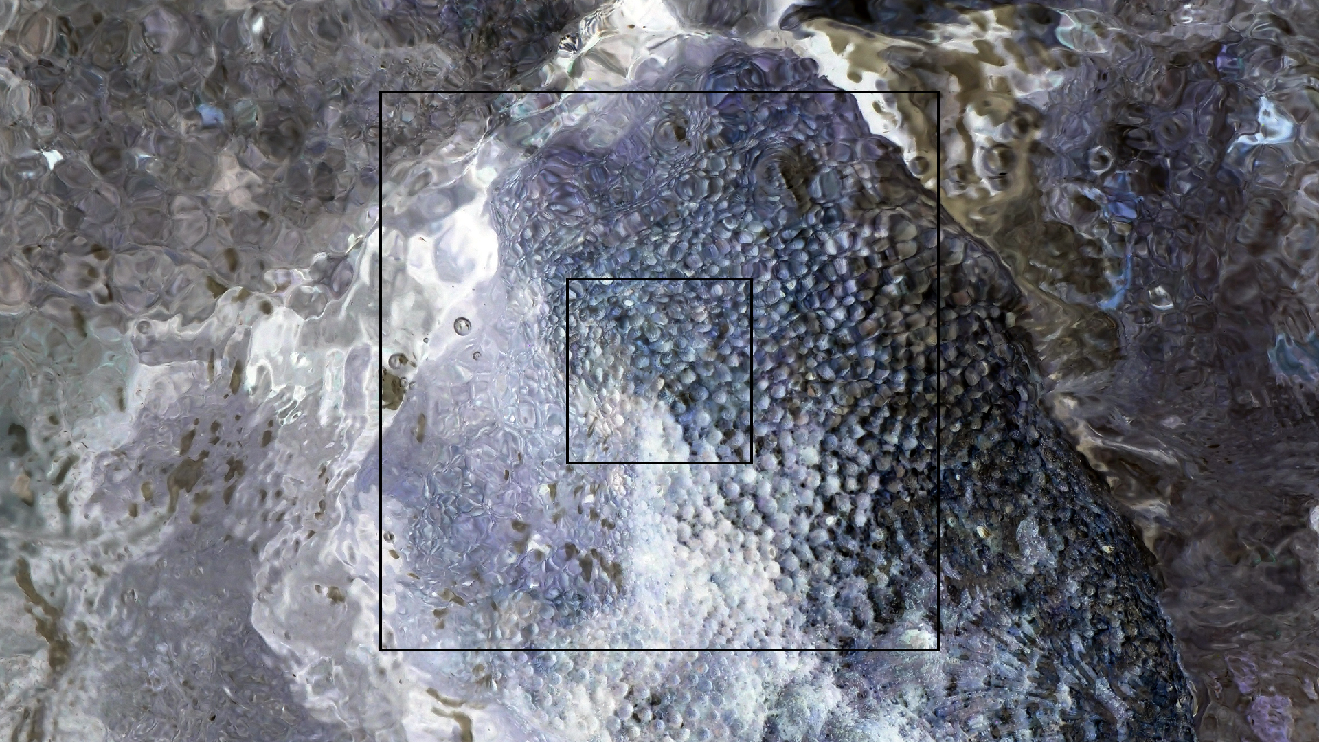 2022-04-25 Cas Abao (Foto)