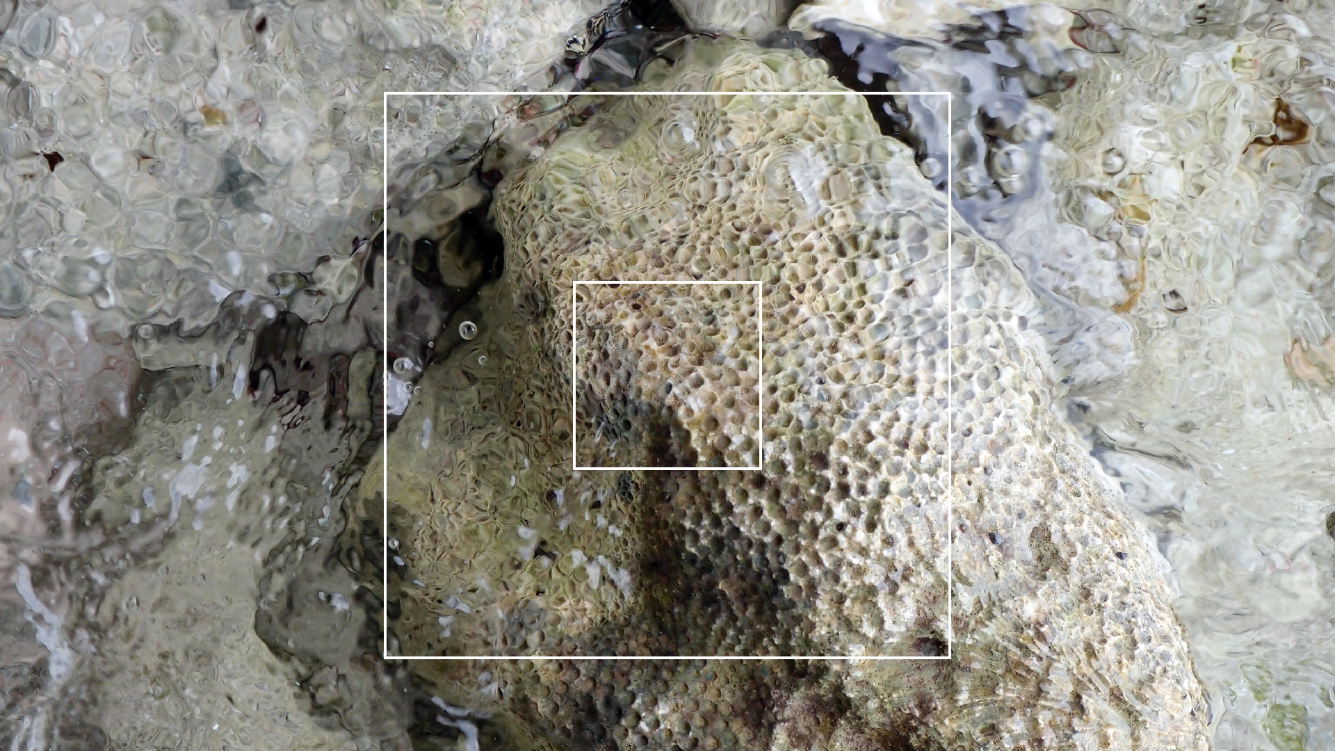 2022-04-25 Cas Abao (Foto)