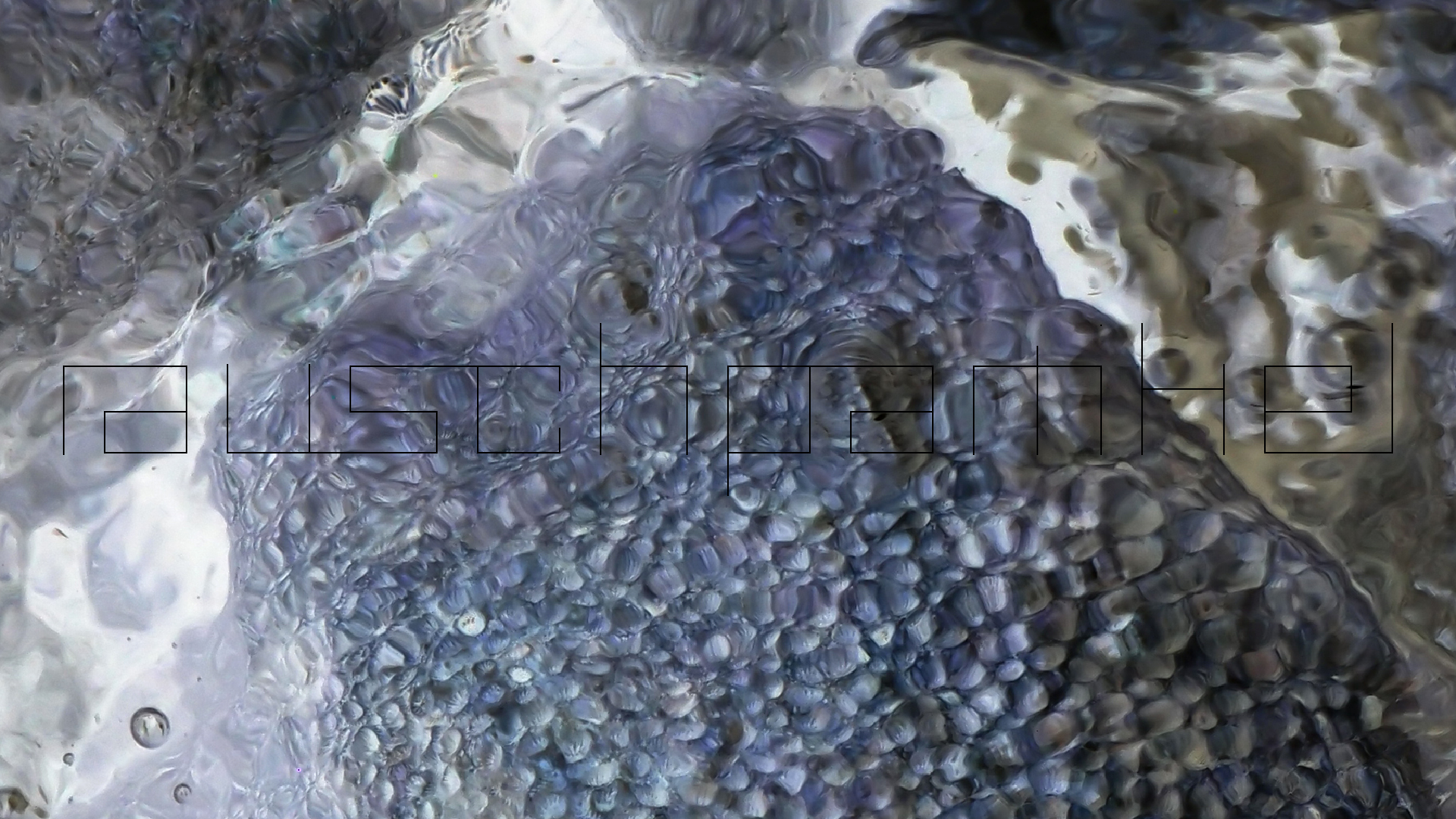 2022-04-25 Cas Abao (Foto)