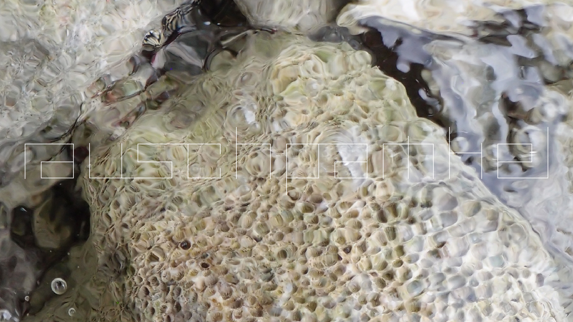 2022-04-25 Cas Abao (Foto)