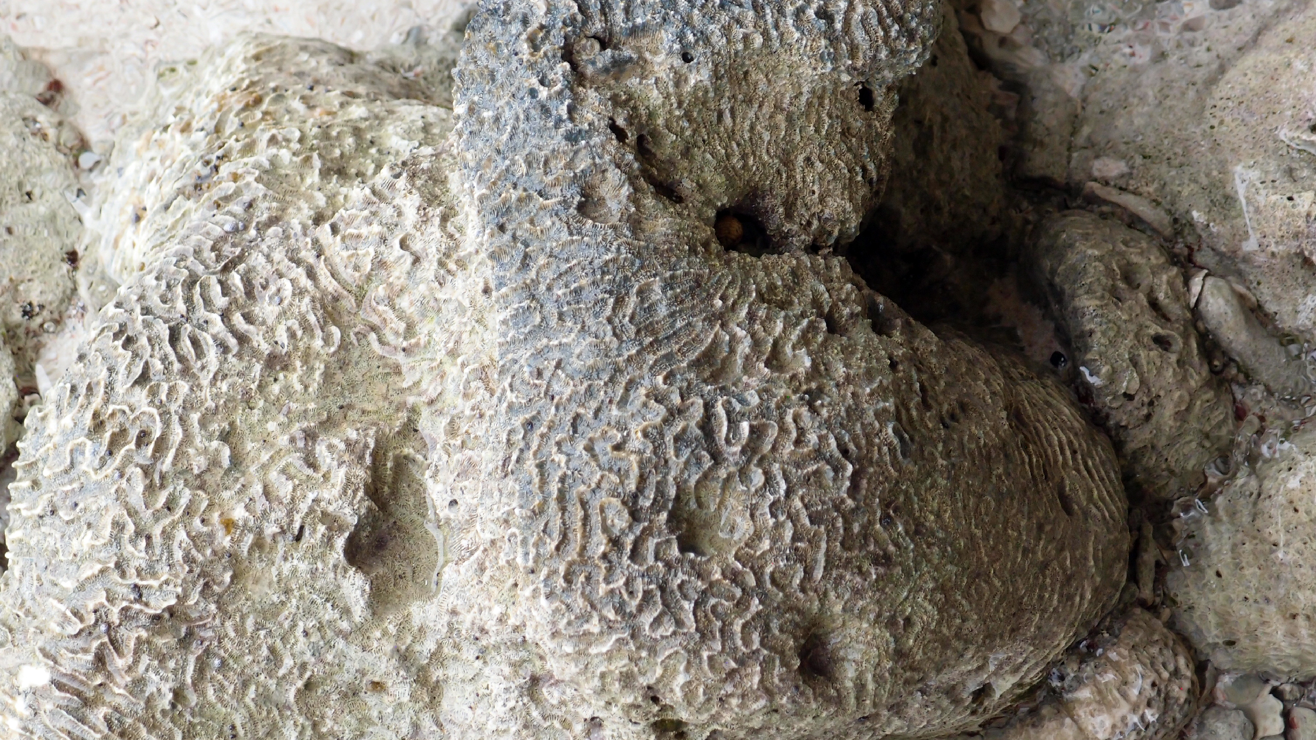 2022-04-25 Cas Abao (Foto)