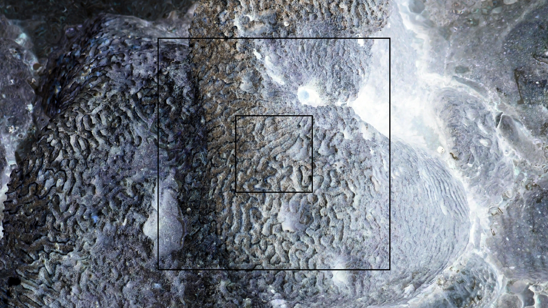 2022-04-25 Cas Abao (Foto)