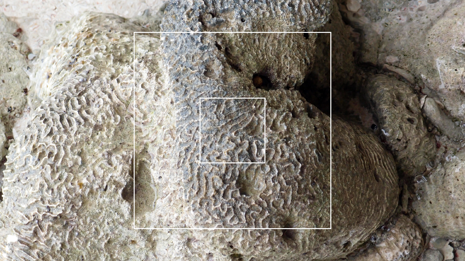 2022-04-25 Cas Abao (Foto)