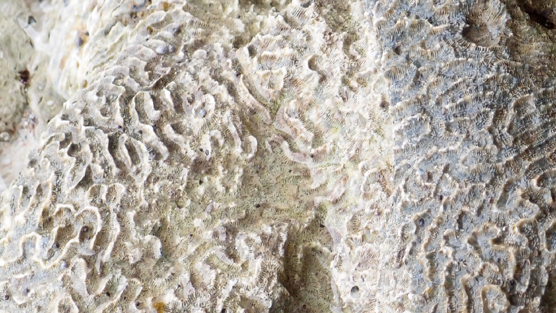 2022-04-25 Cas Abao (Foto)