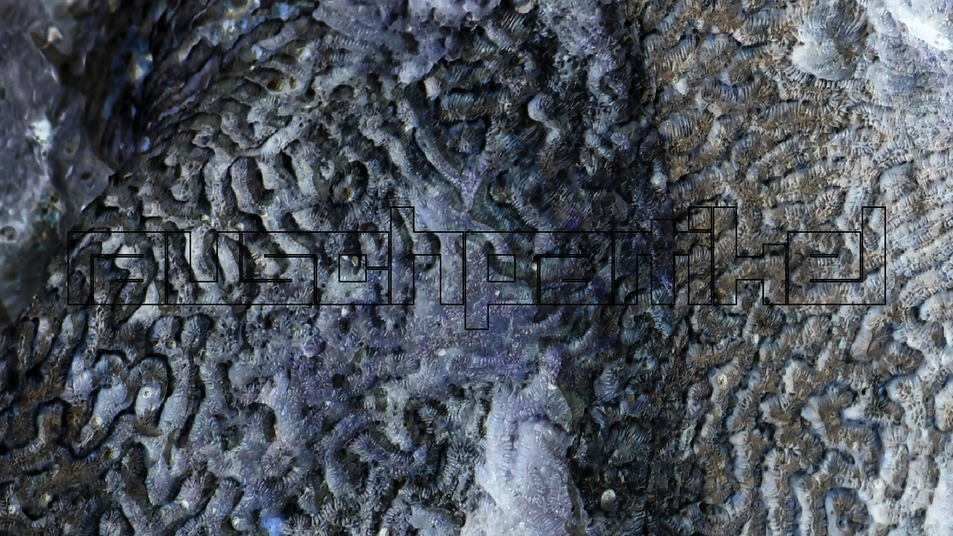 2022-04-25 Cas Abao (Foto)