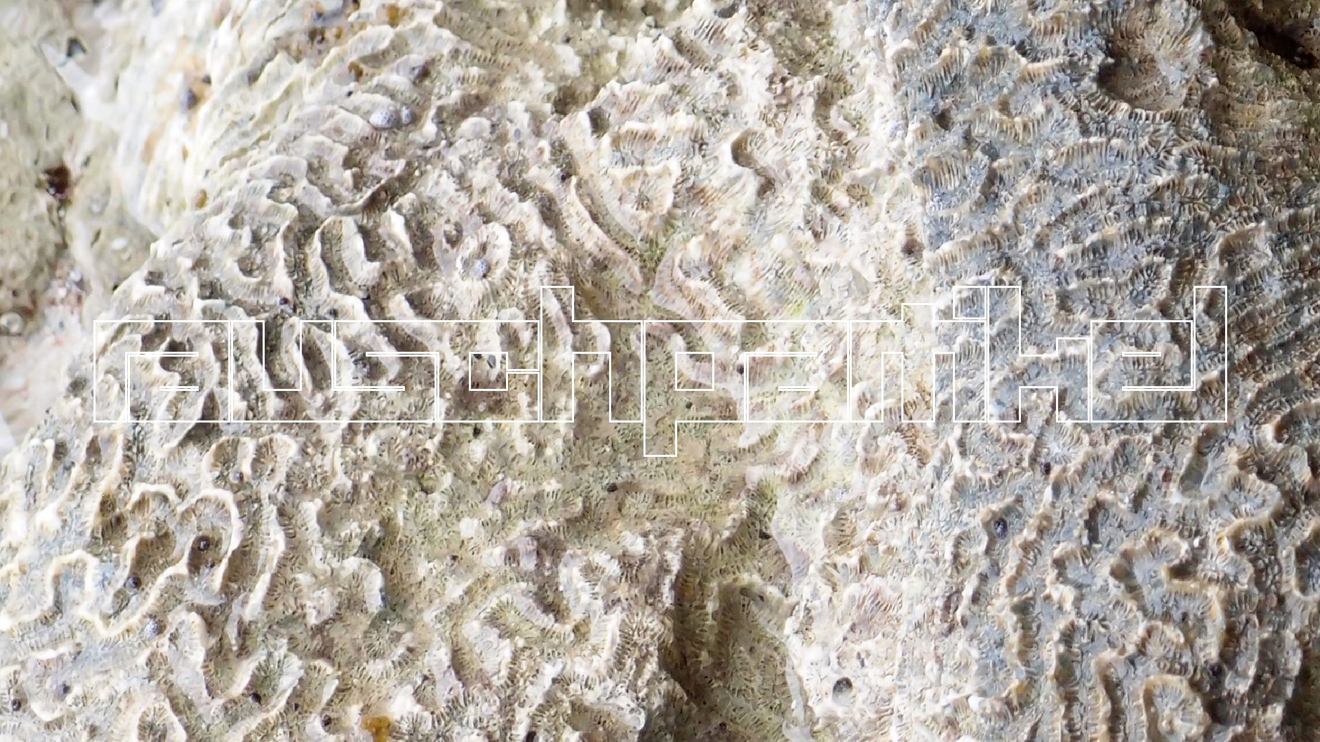 2022-04-25 Cas Abao (Foto)