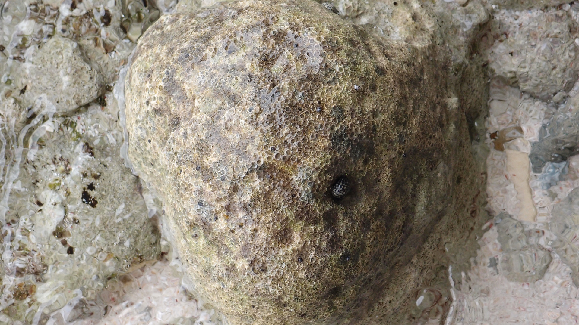 2022-04-25 Cas Abao (Foto)